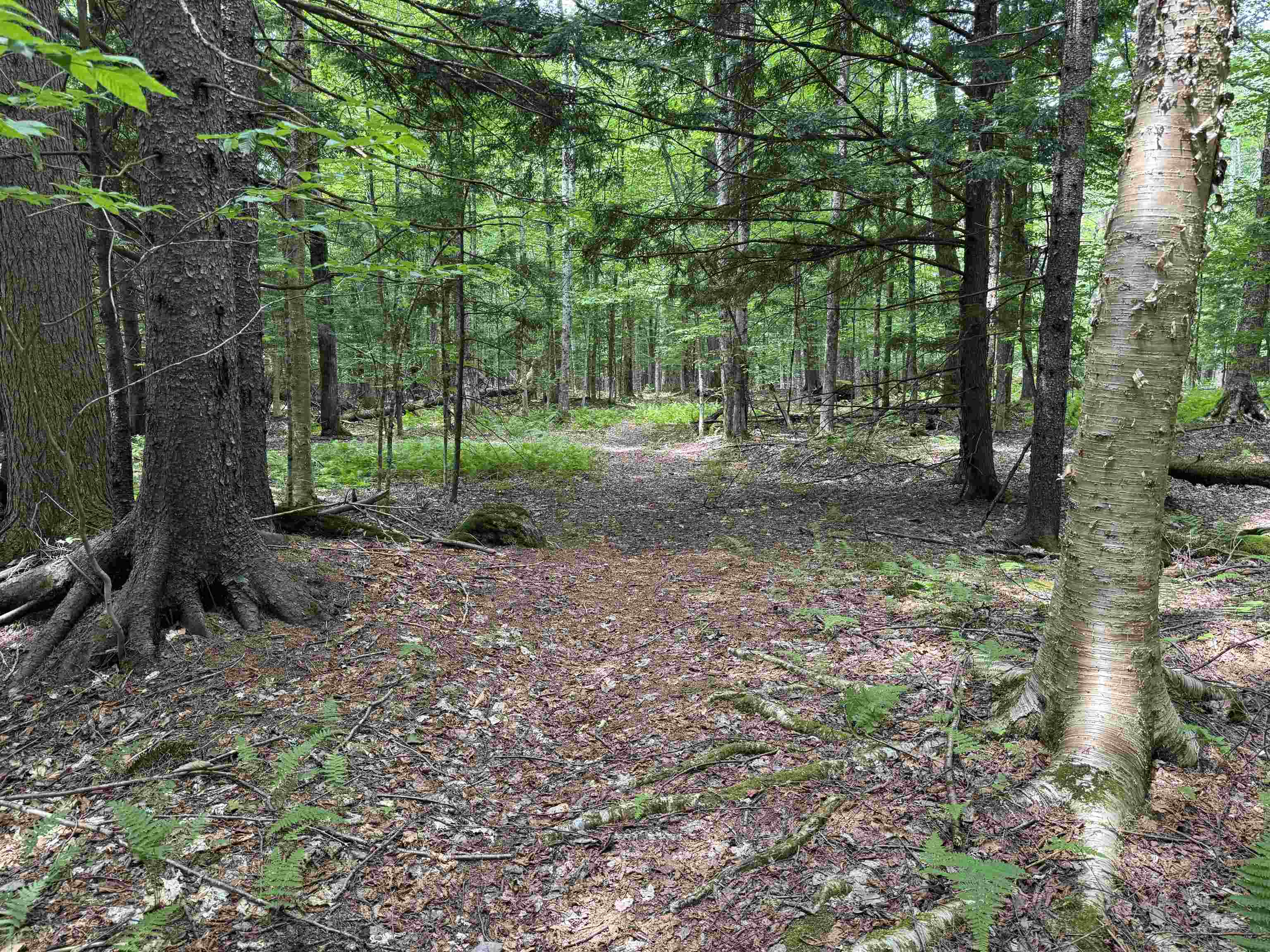 Tbd Richard Woolcutt Road Property Photo 17