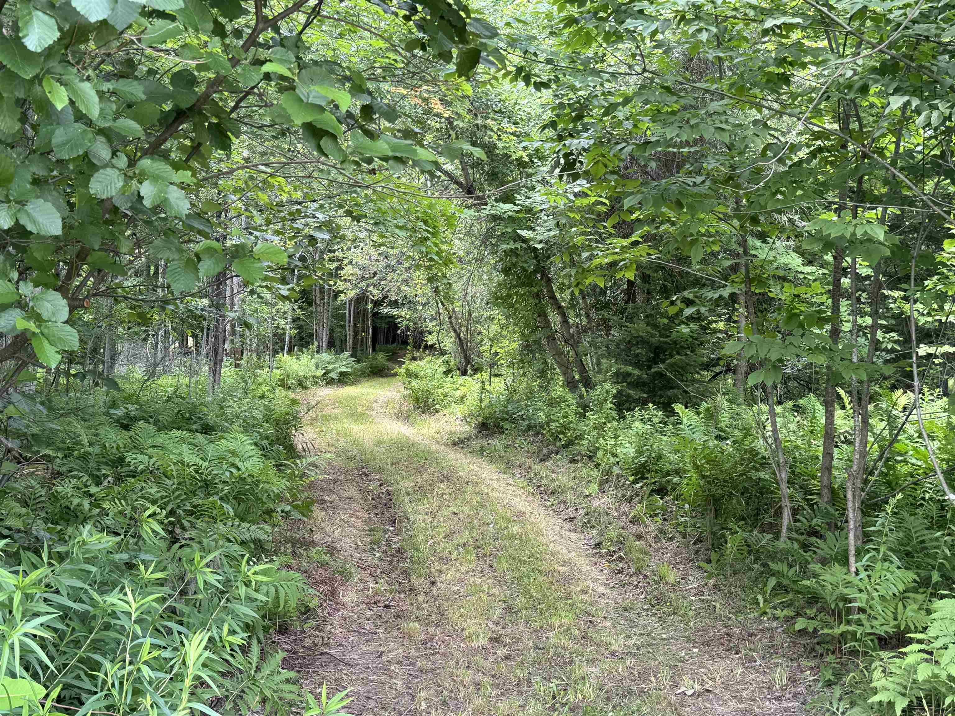Tbd Richard Woolcutt Road Property Photo 1