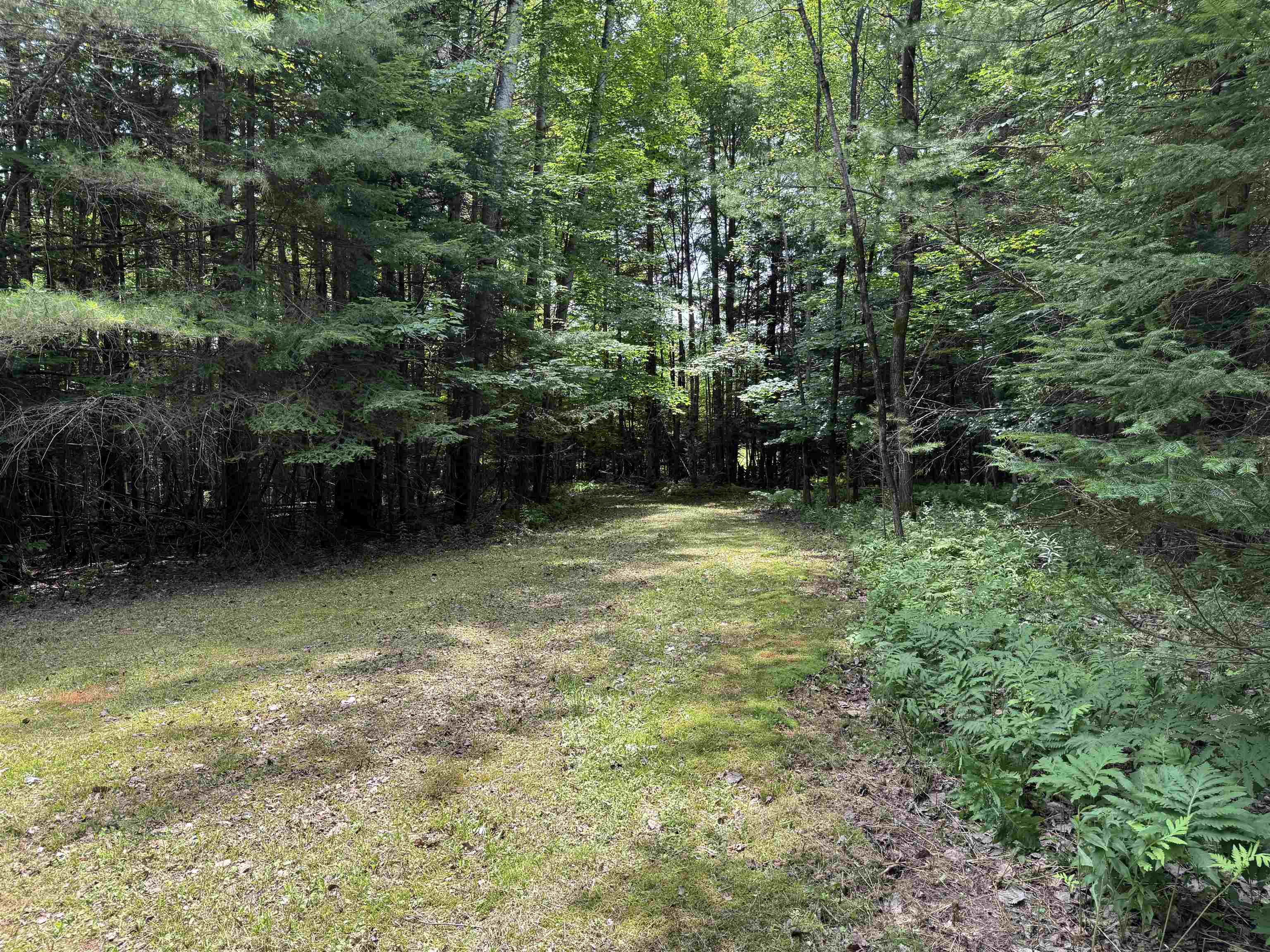 Tbd Richard Woolcutt Road Property Photo 9