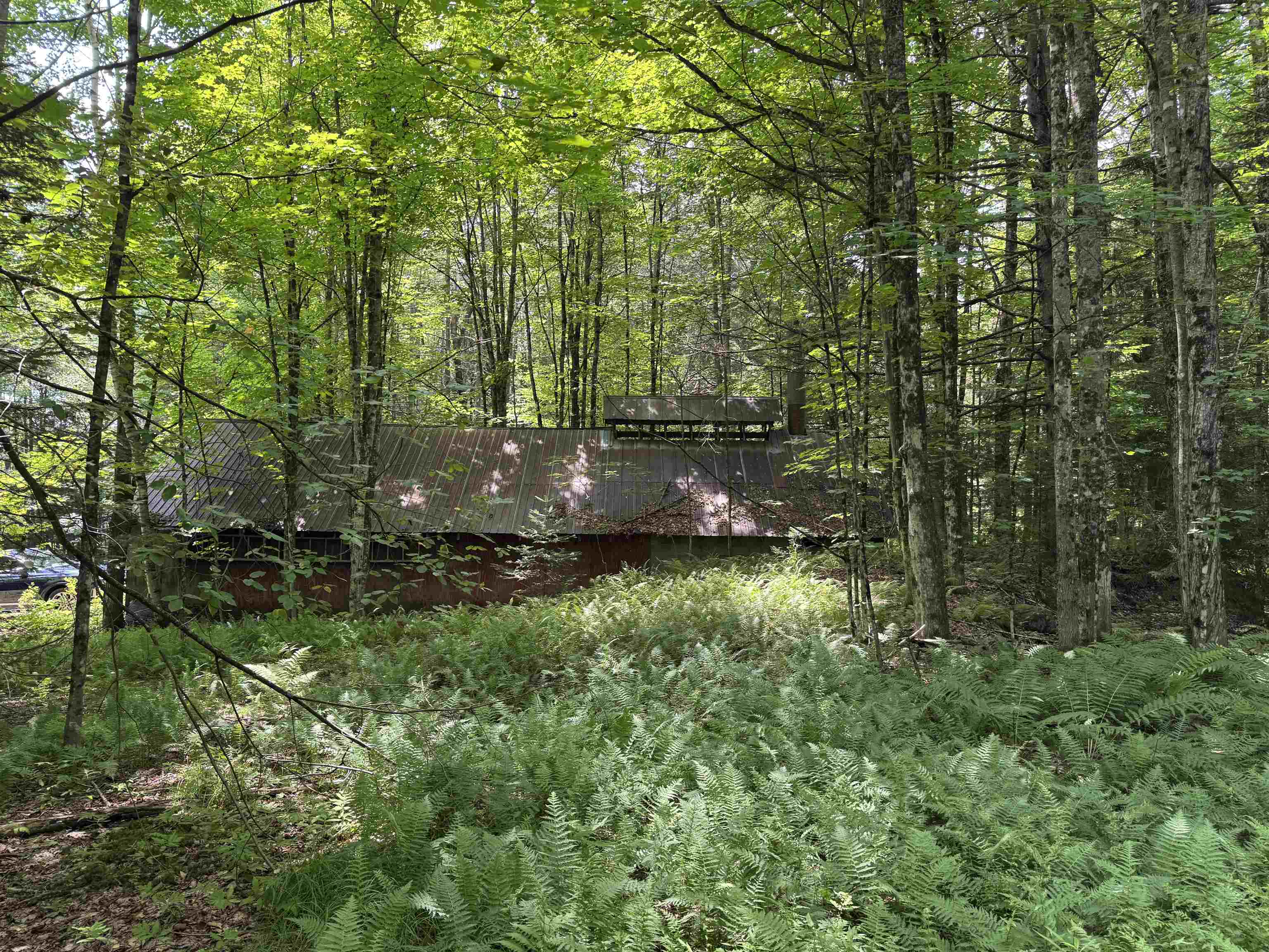 Tbd Richard Woolcutt Road Property Photo 10