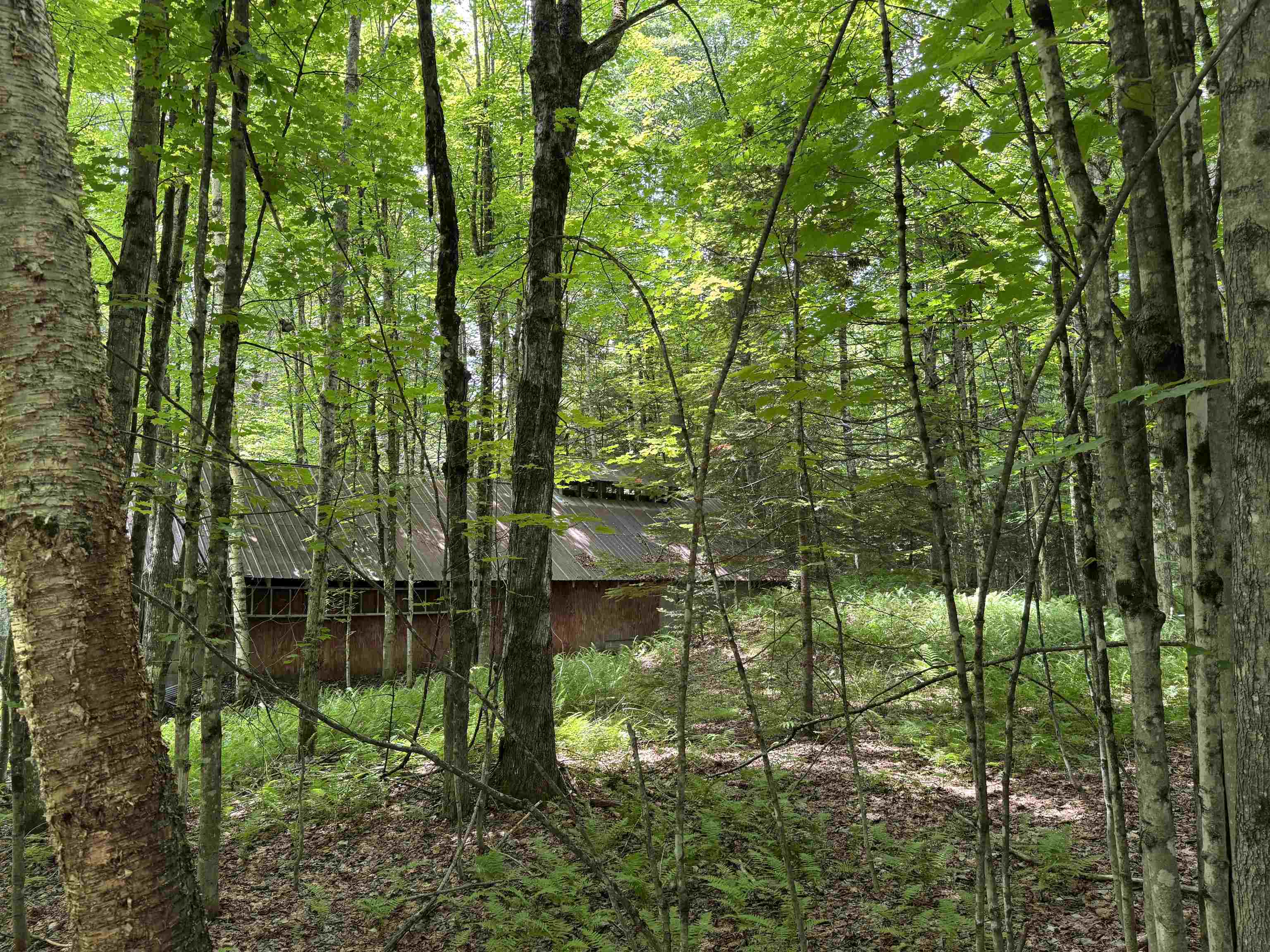 Tbd Richard Woolcutt Road Property Photo 11