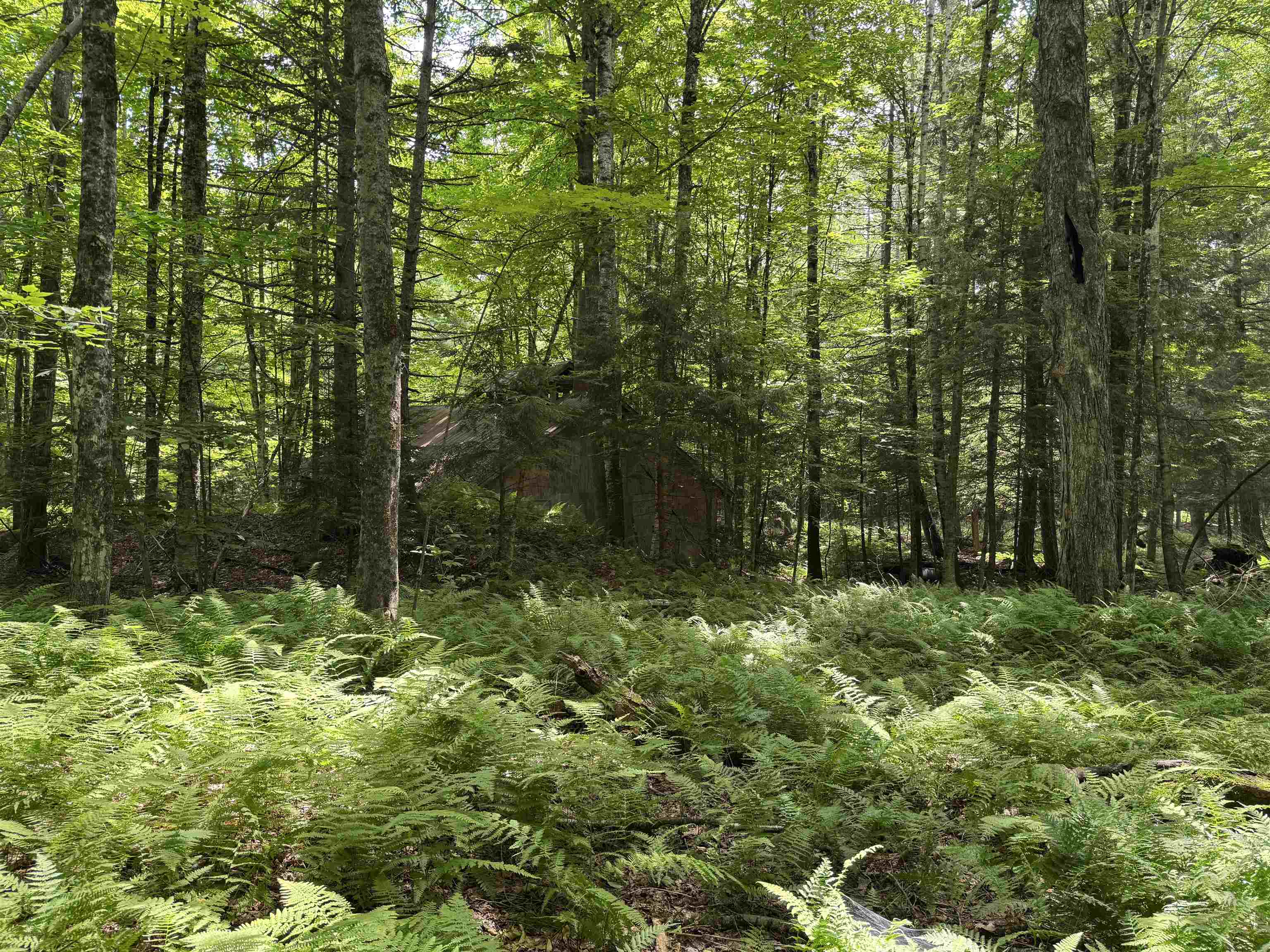 Tbd Richard Woolcutt Road Property Photo 12