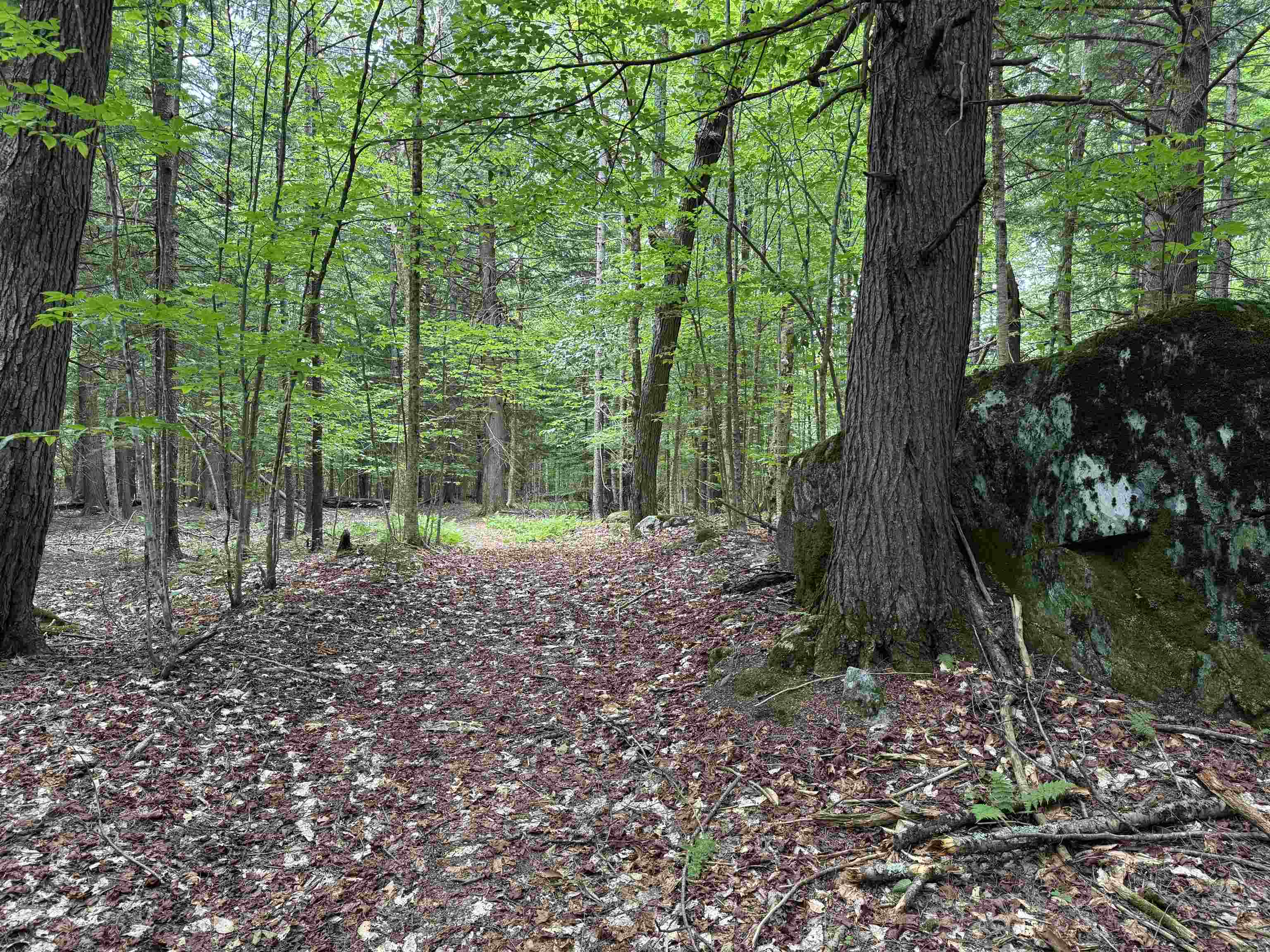 Tbd Richard Woolcutt Road Property Photo 14