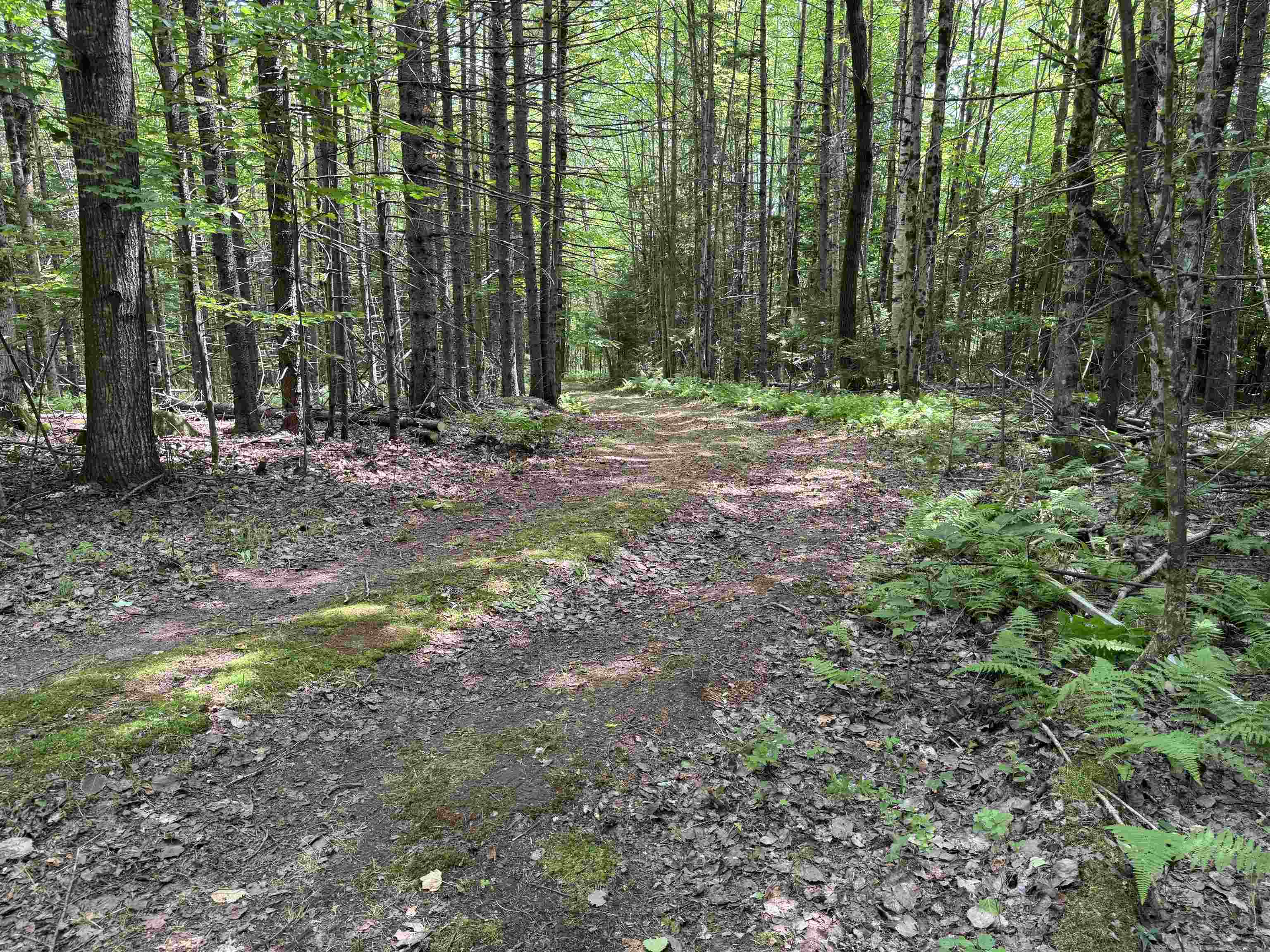 Tbd Richard Woolcutt Road Property Photo 16