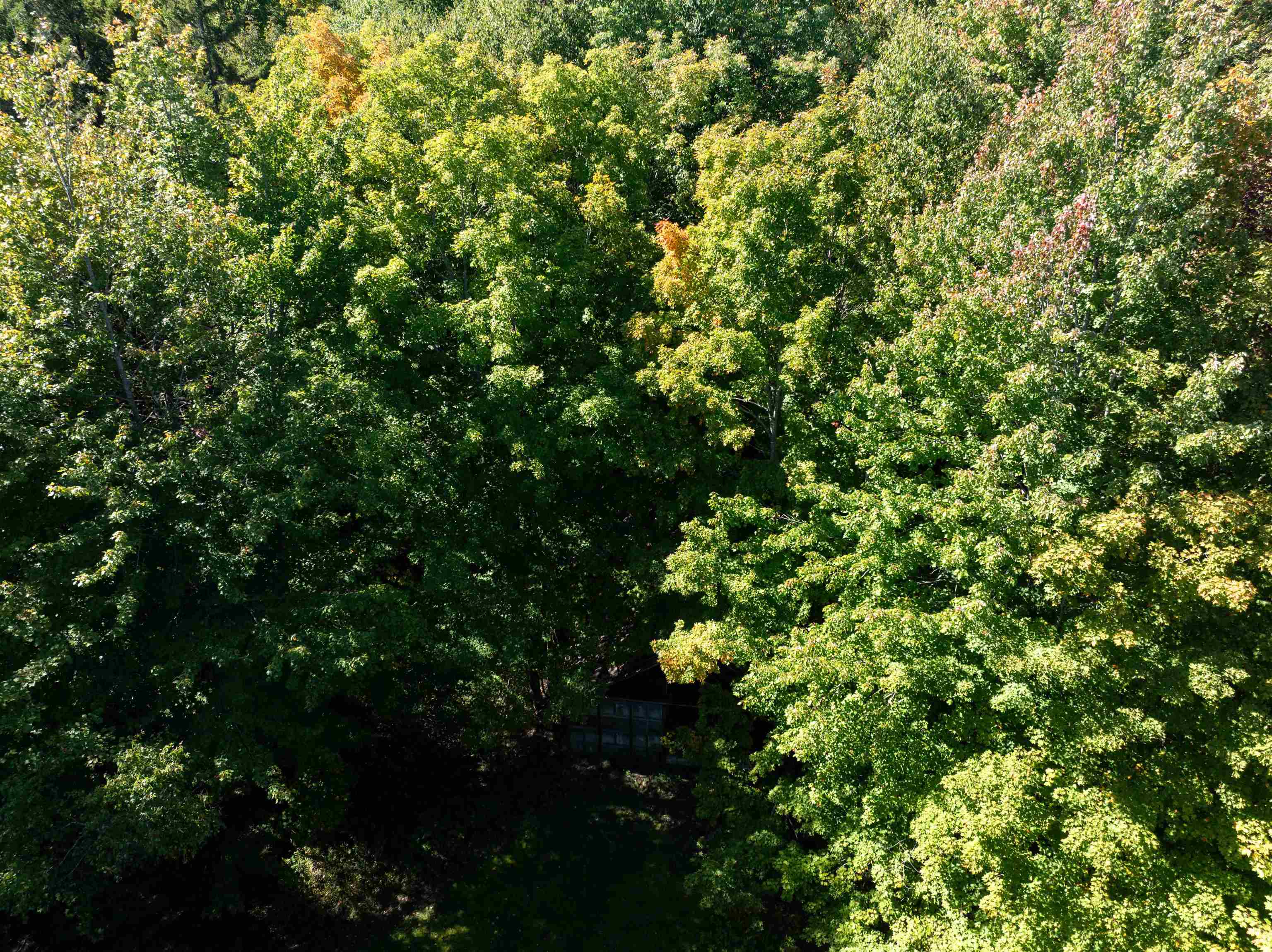 Tbd Richard Woolcutt Road Property Photo 38