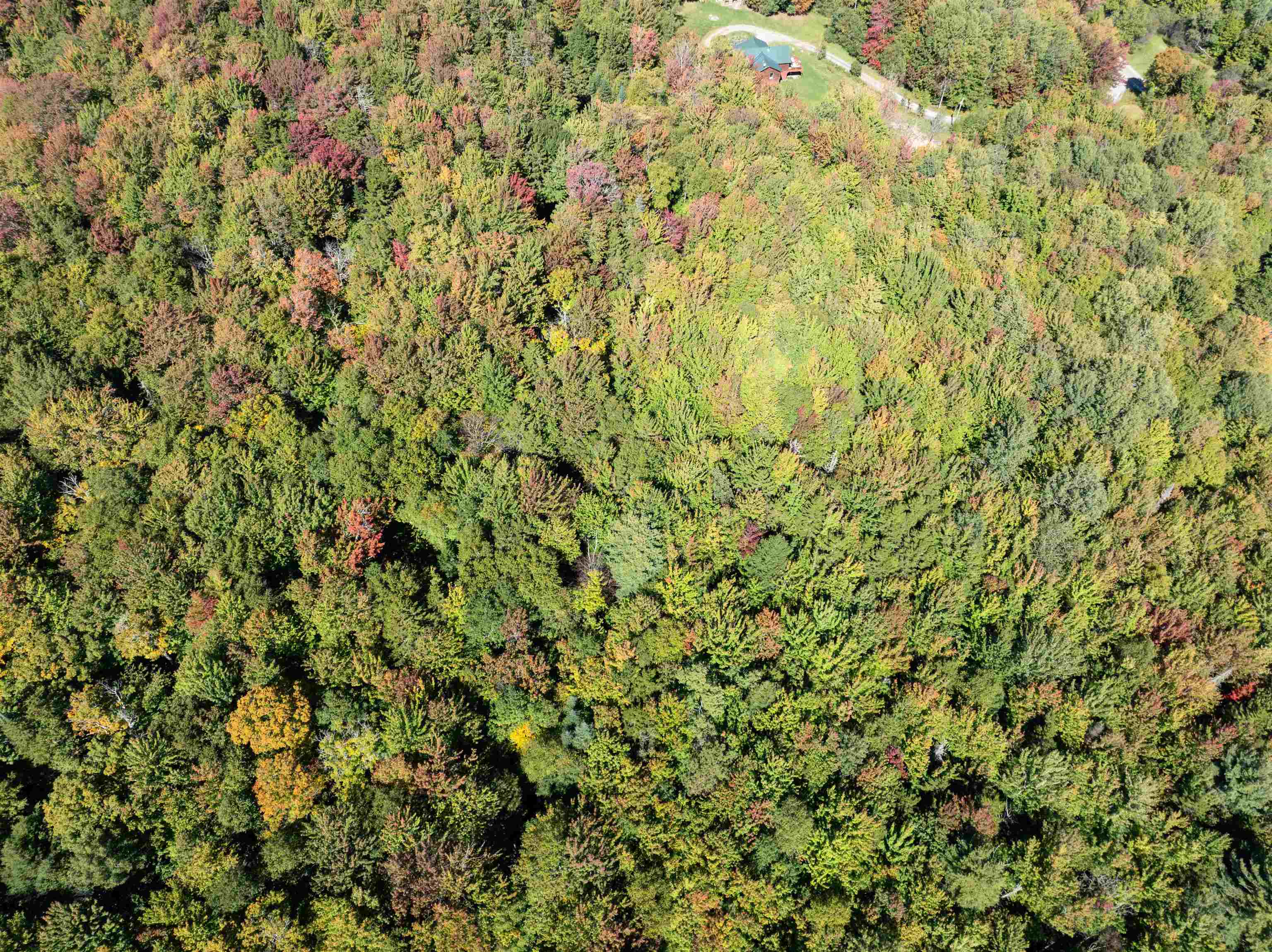 Tbd Richard Woolcutt Road Property Photo 40
