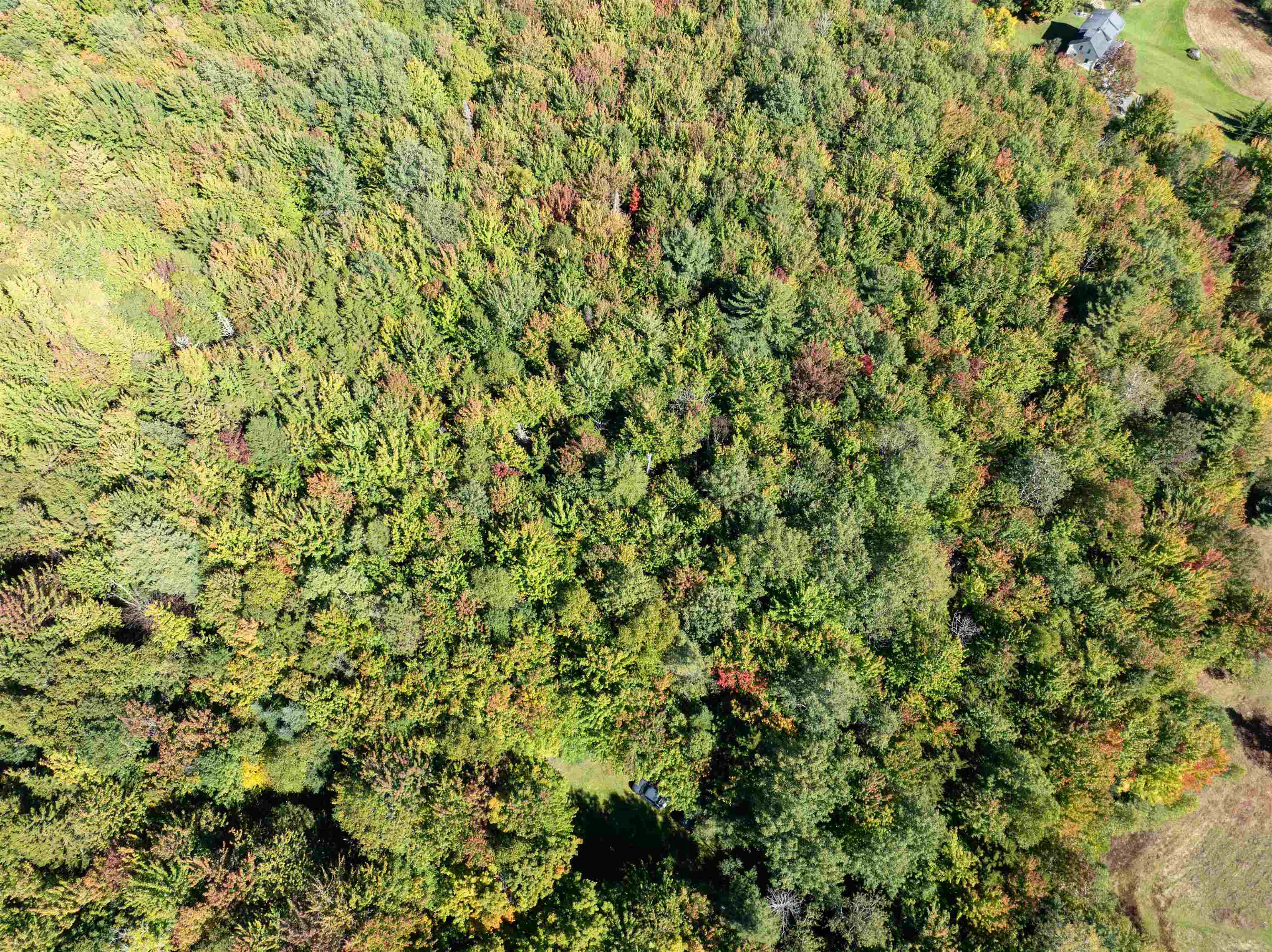 Tbd Richard Woolcutt Road Property Photo 42