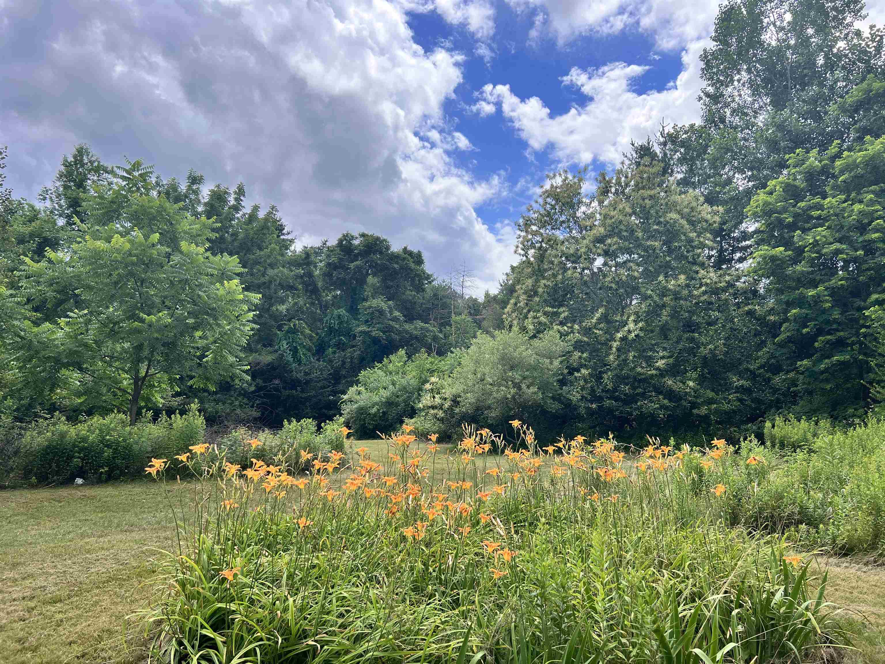 156 Concord Road Property Photo 1