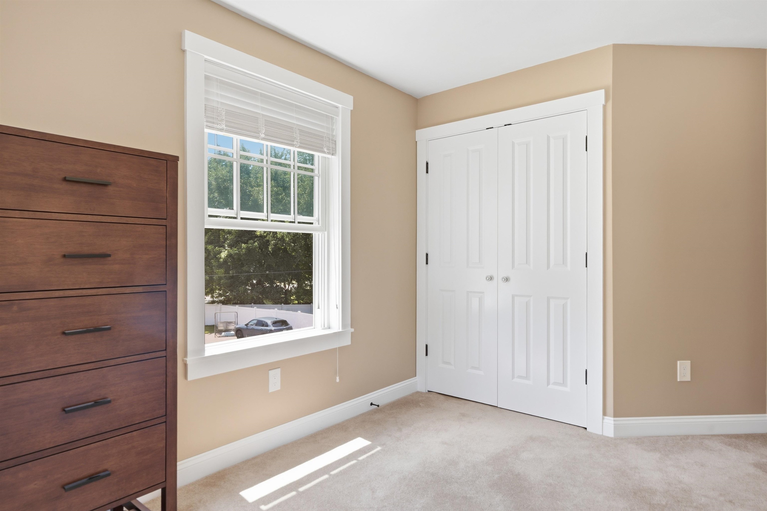 4 Abbott Street Property Photo 14