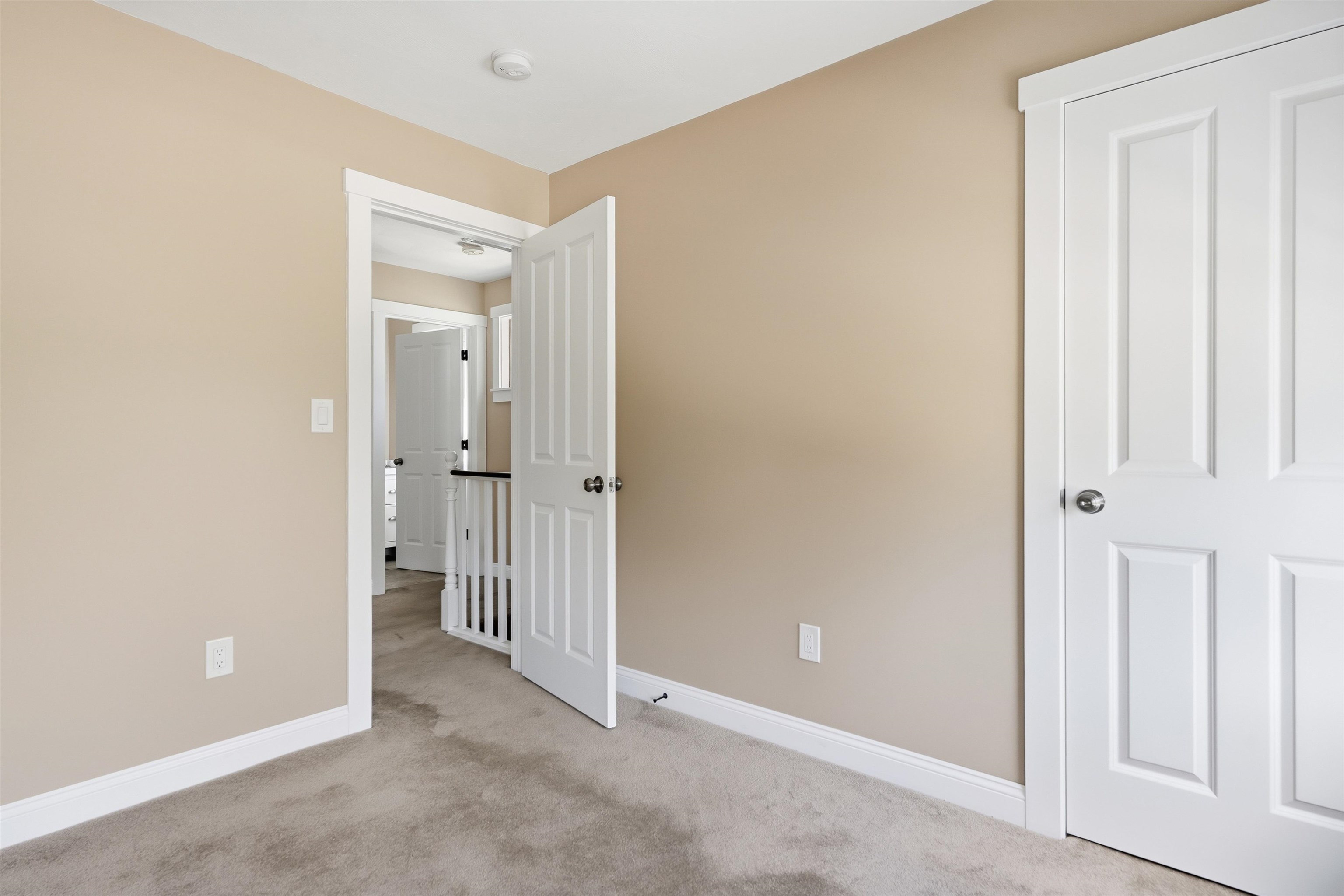 4 Abbott Street Property Photo 21