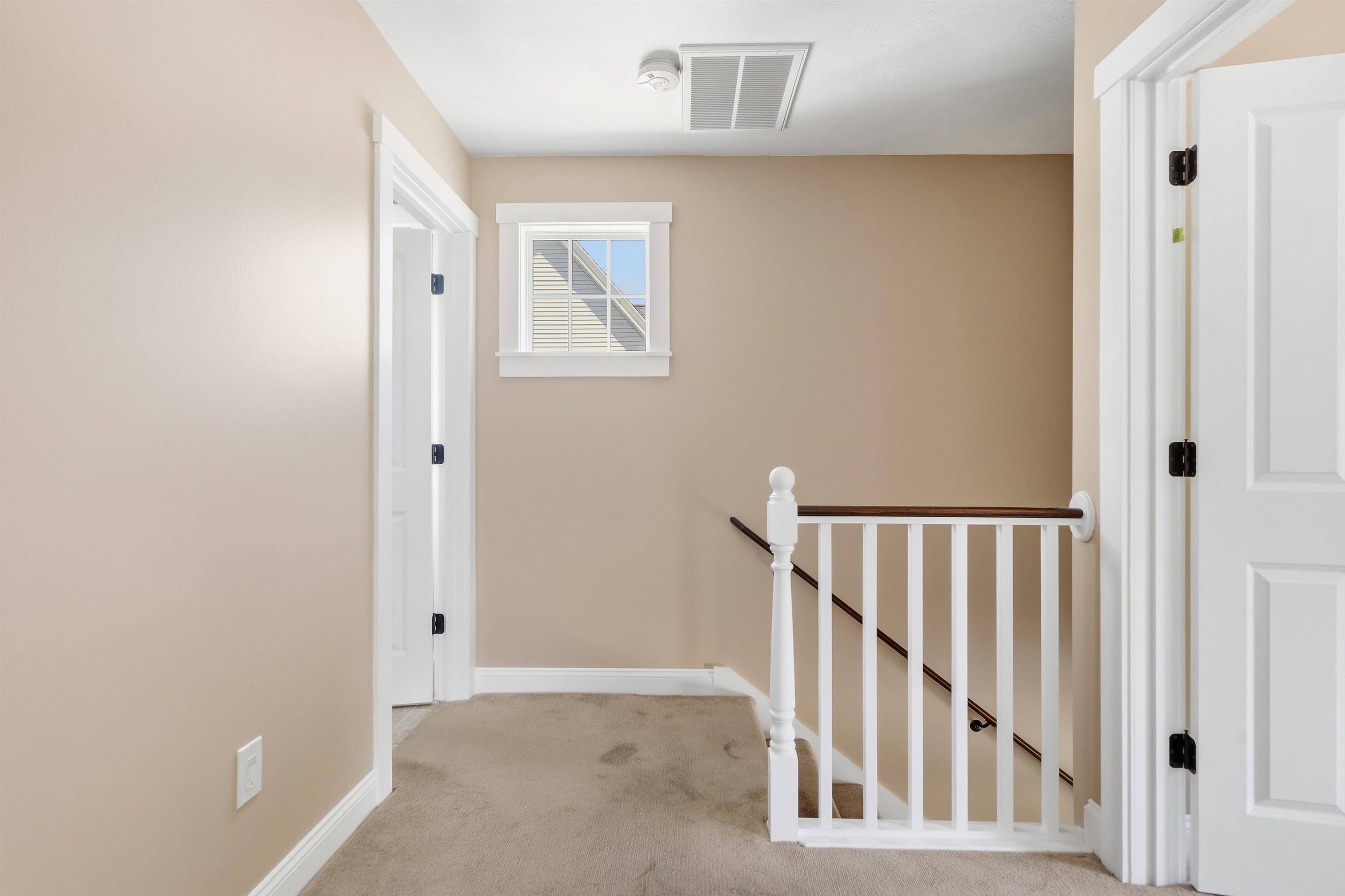 4 Abbott Street Property Photo 23
