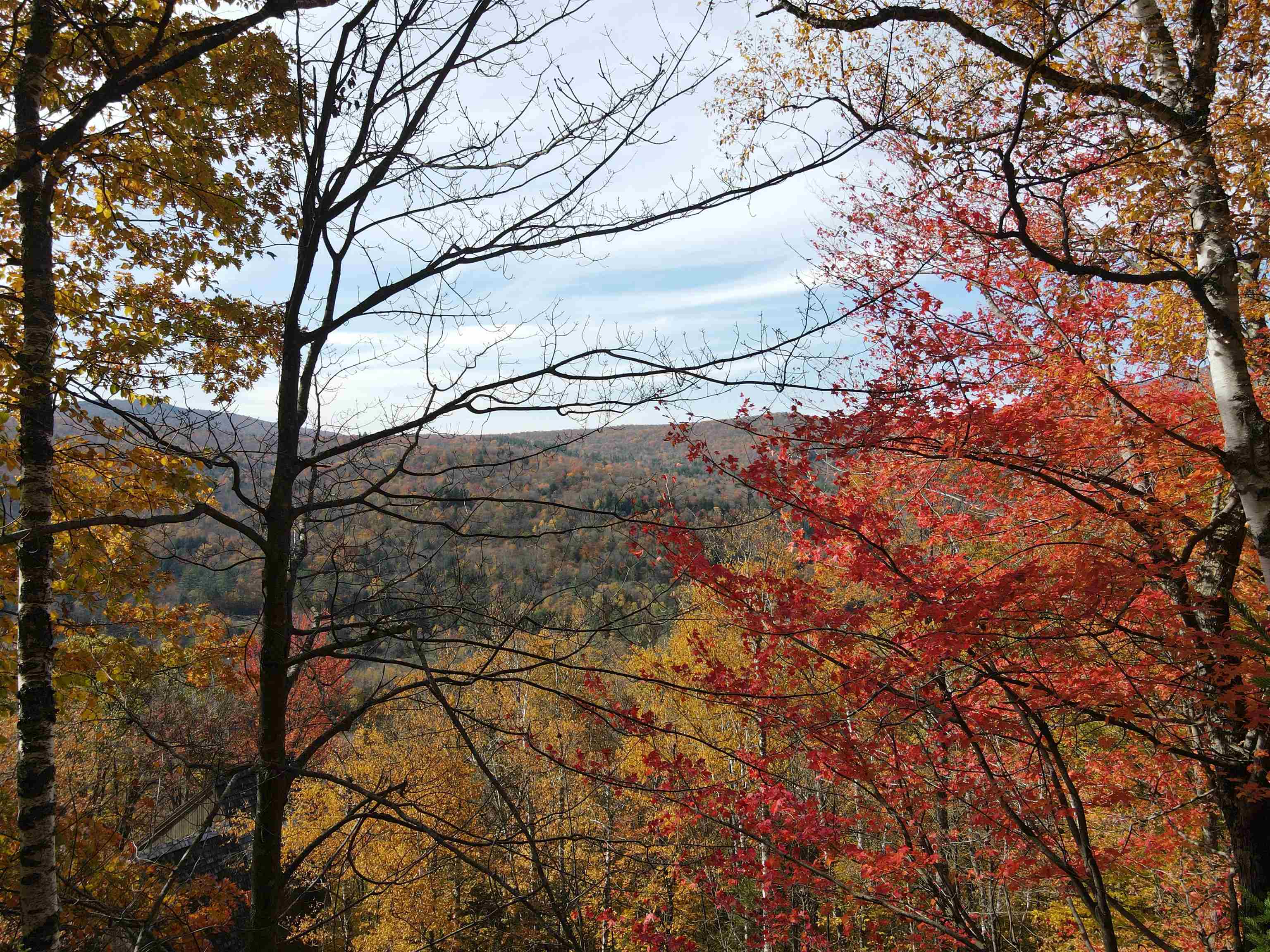 2-42 Coopers Trace Property Photo 2