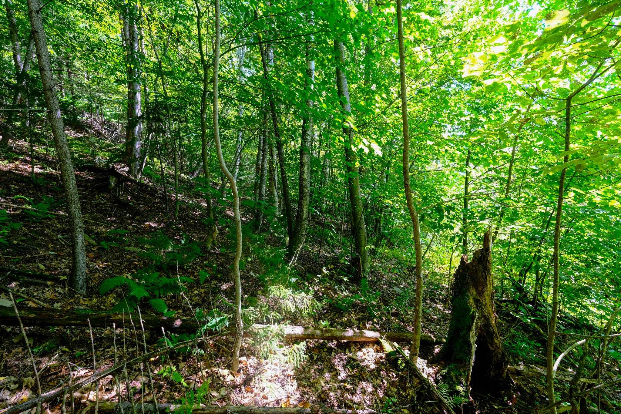 2-42 Coopers Trace Property Photo 10
