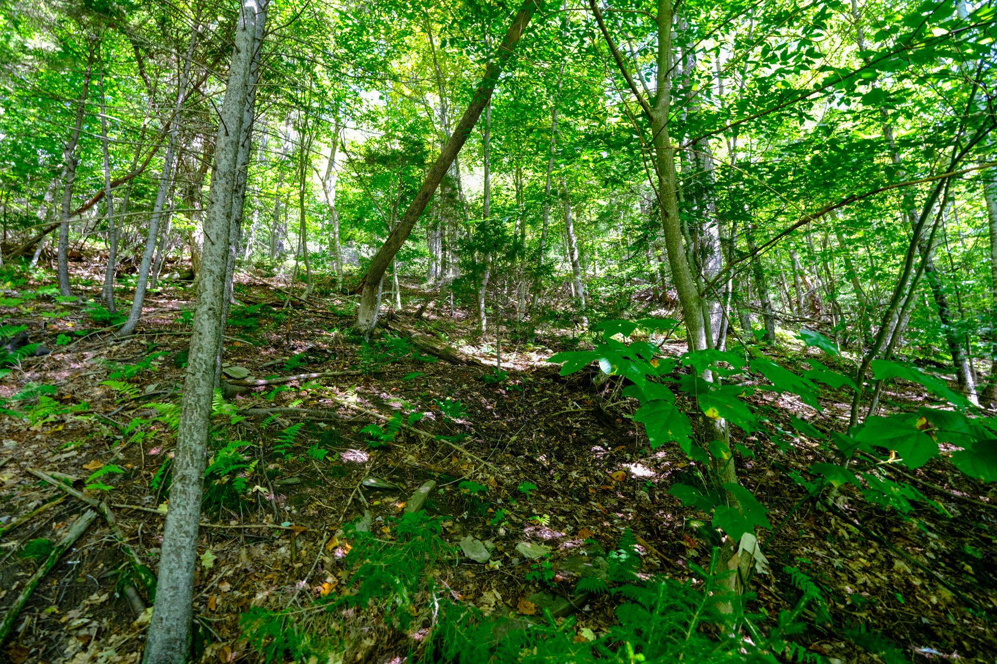 2-42 Coopers Trace Property Photo 11