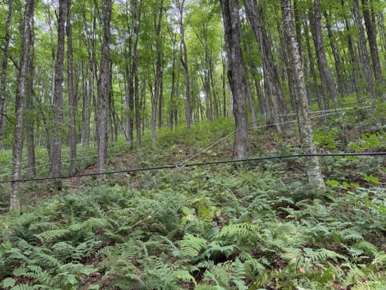 68 Melissa Lane Property Photo 50