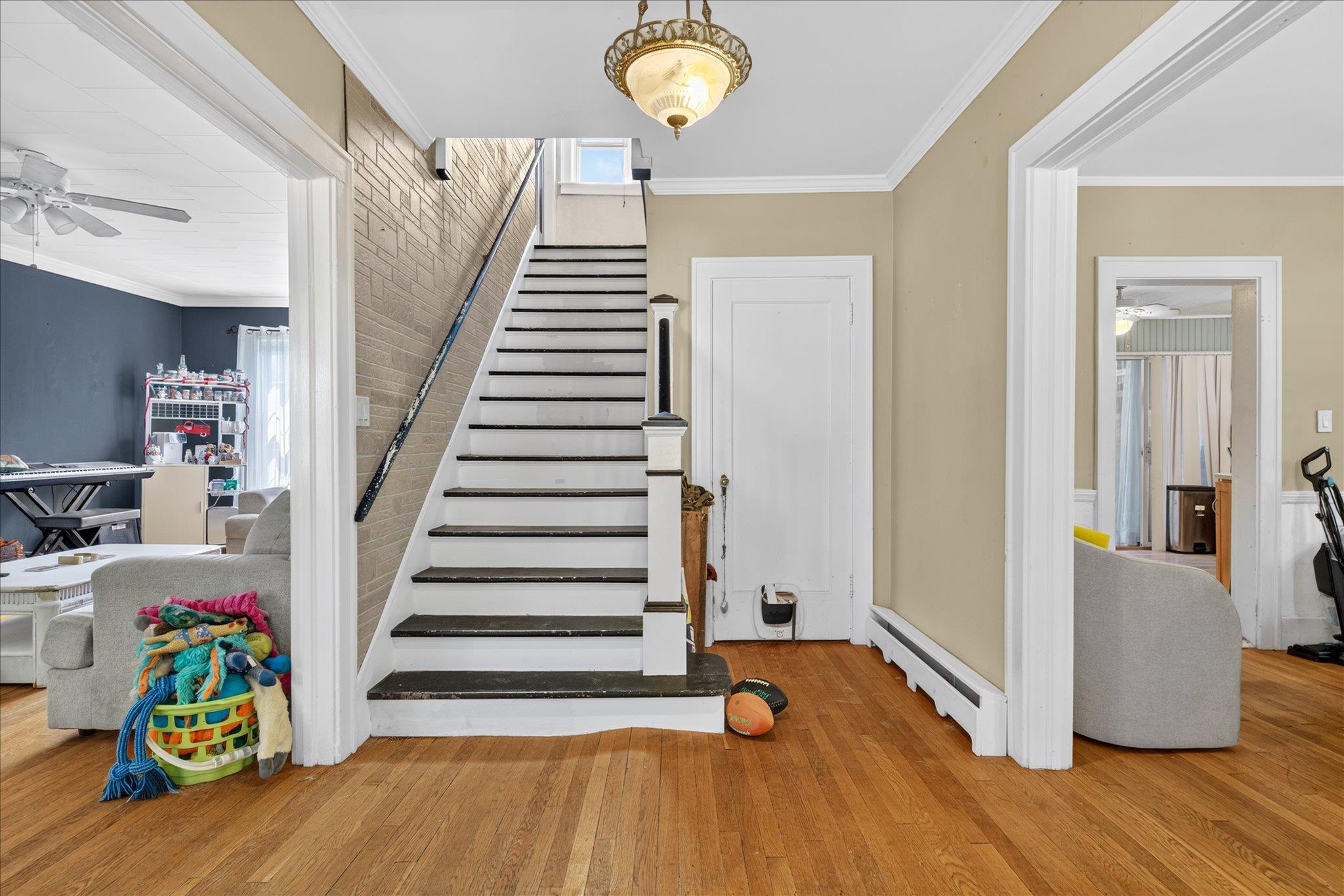 72 Edgerton Street Property Photo 20