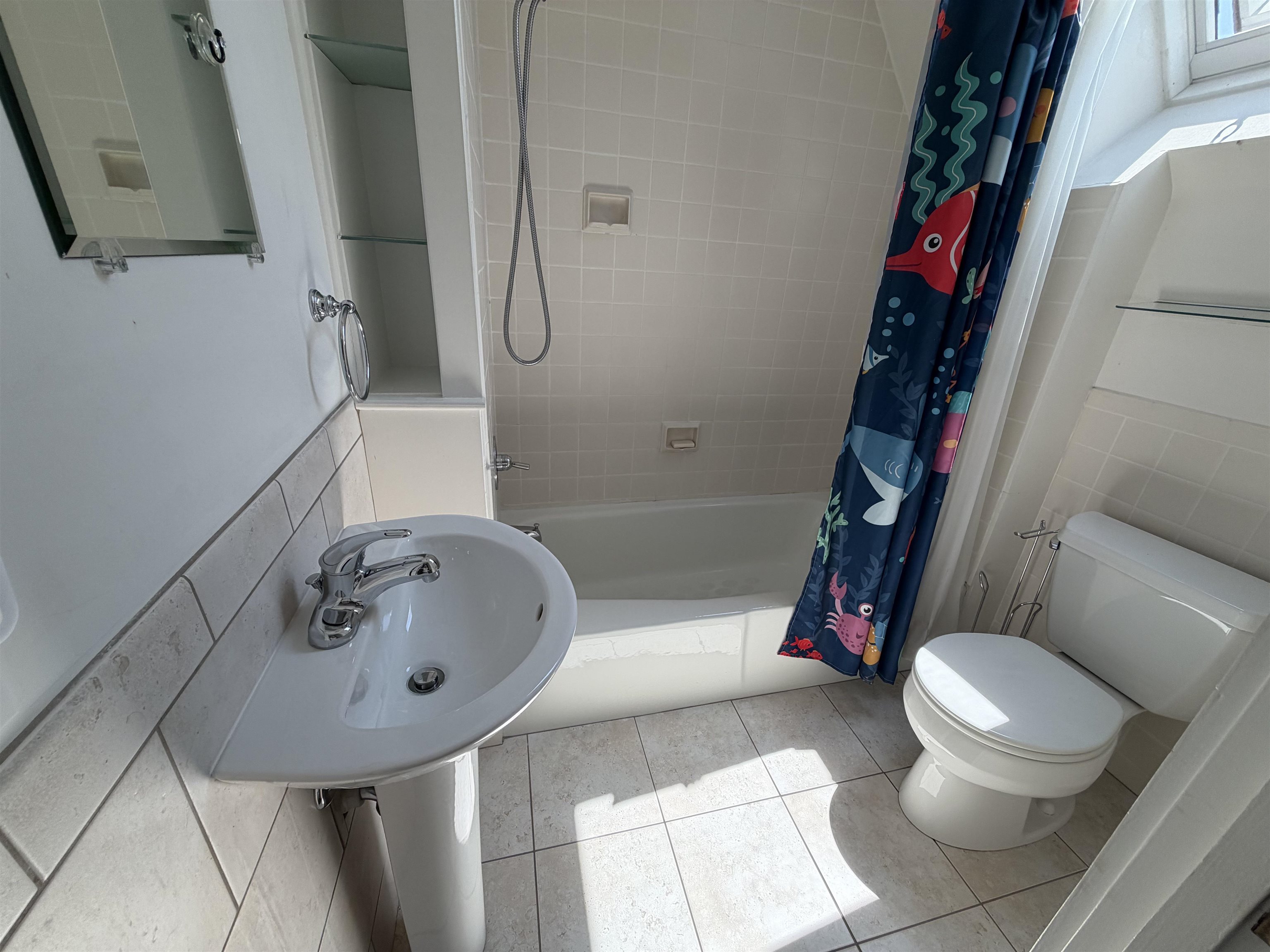 15 Gill Street Property Photo 24