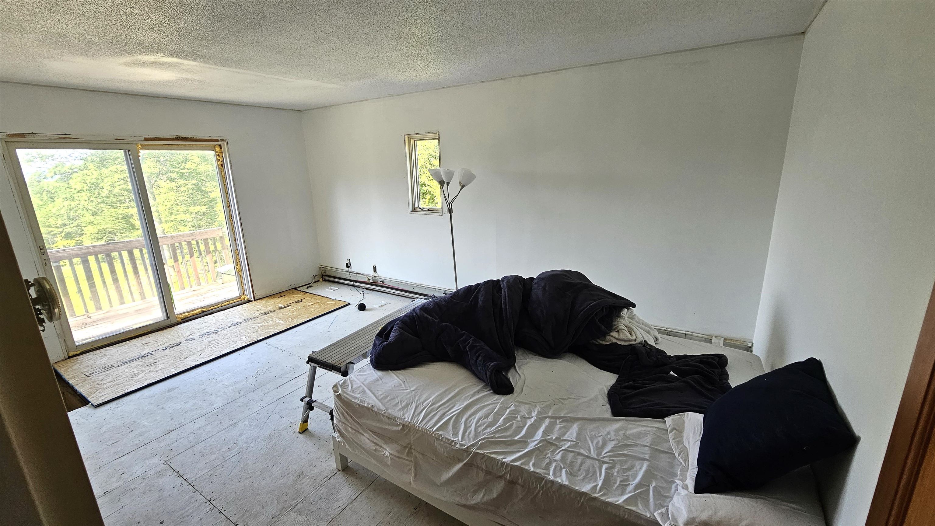 29 Mollie Road Property Photo 15