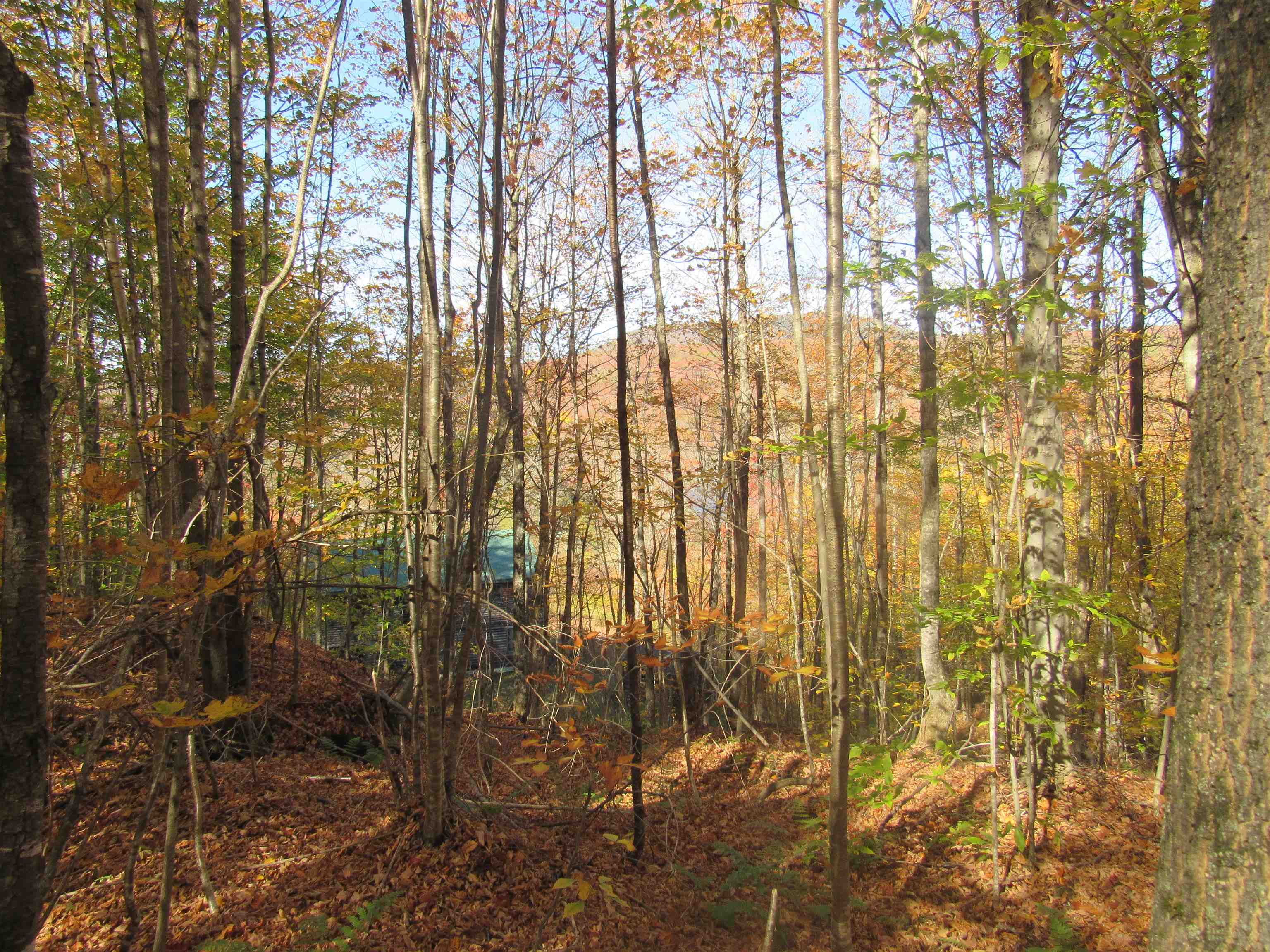 6791 Us Route 5 Property Photo 12