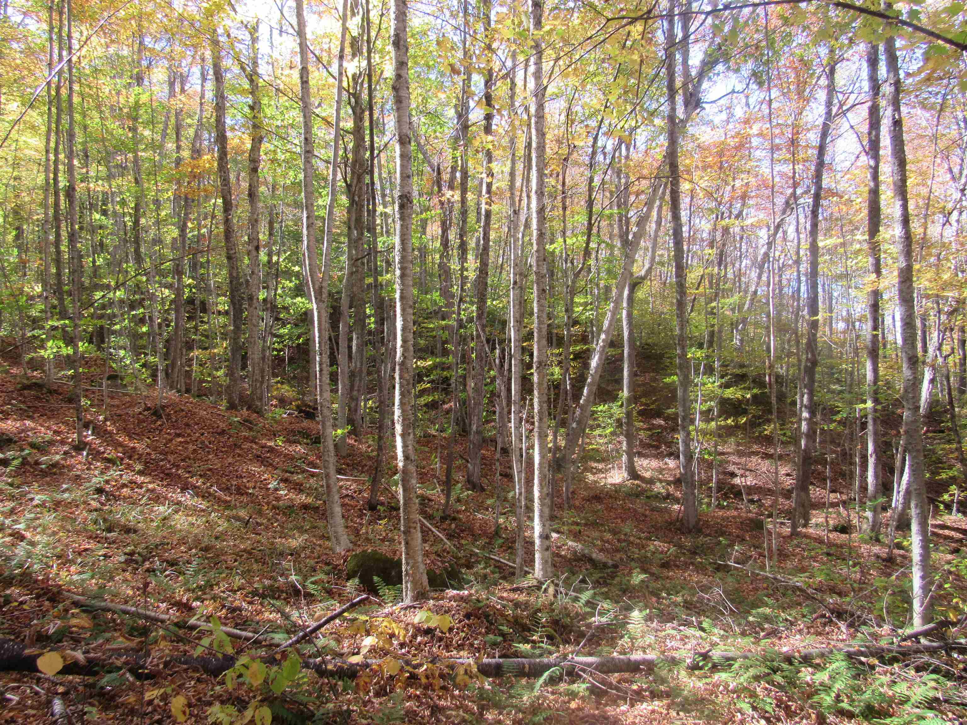 6791 Us Route 5 Property Photo 13