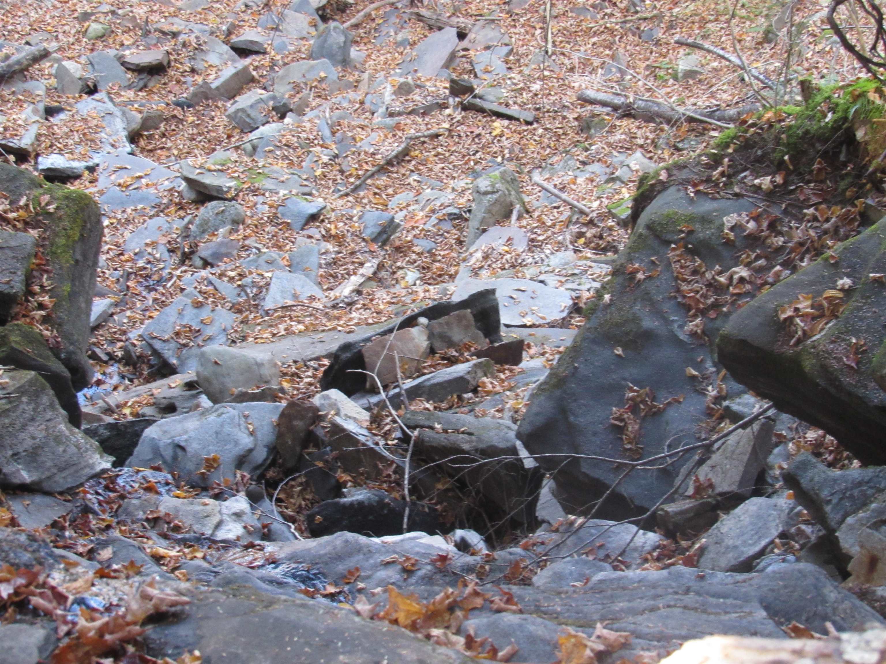 6791 Us Route 5 Property Photo 35