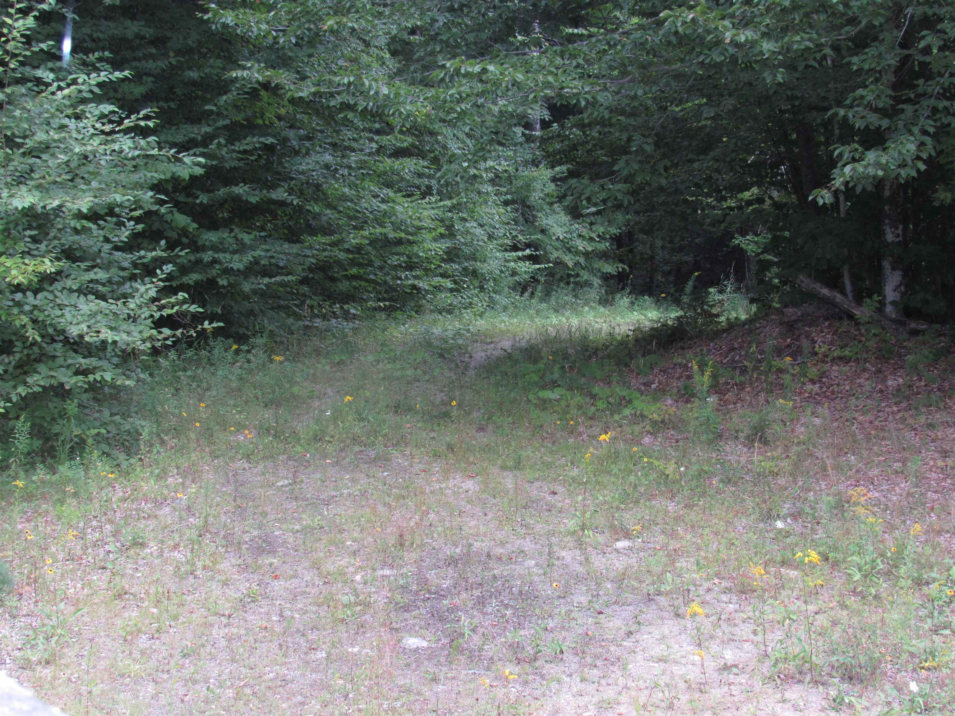 6791 Us Route 5 Property Photo 46