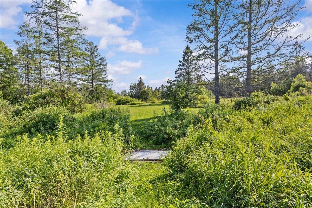 214 Old Stage Road Property Photo 11