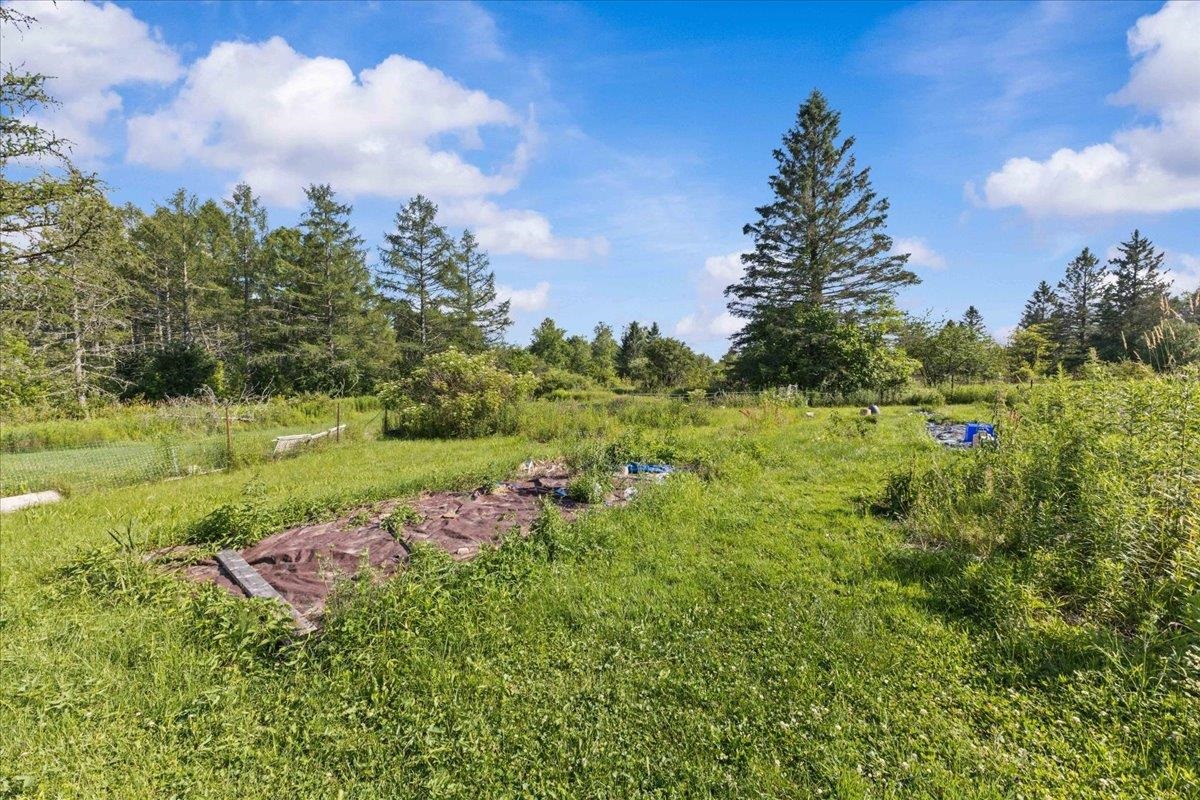 214 Old Stage Road Property Photo 13