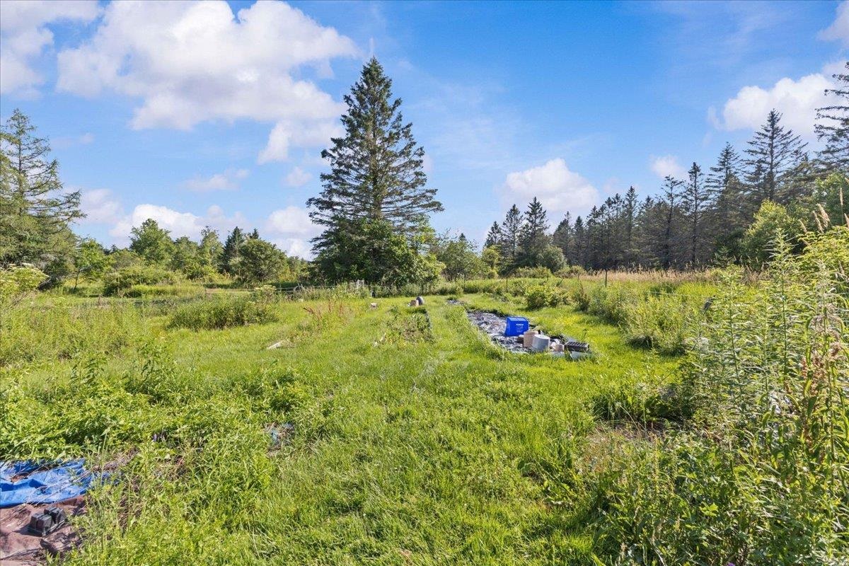 214 Old Stage Road Property Photo 14