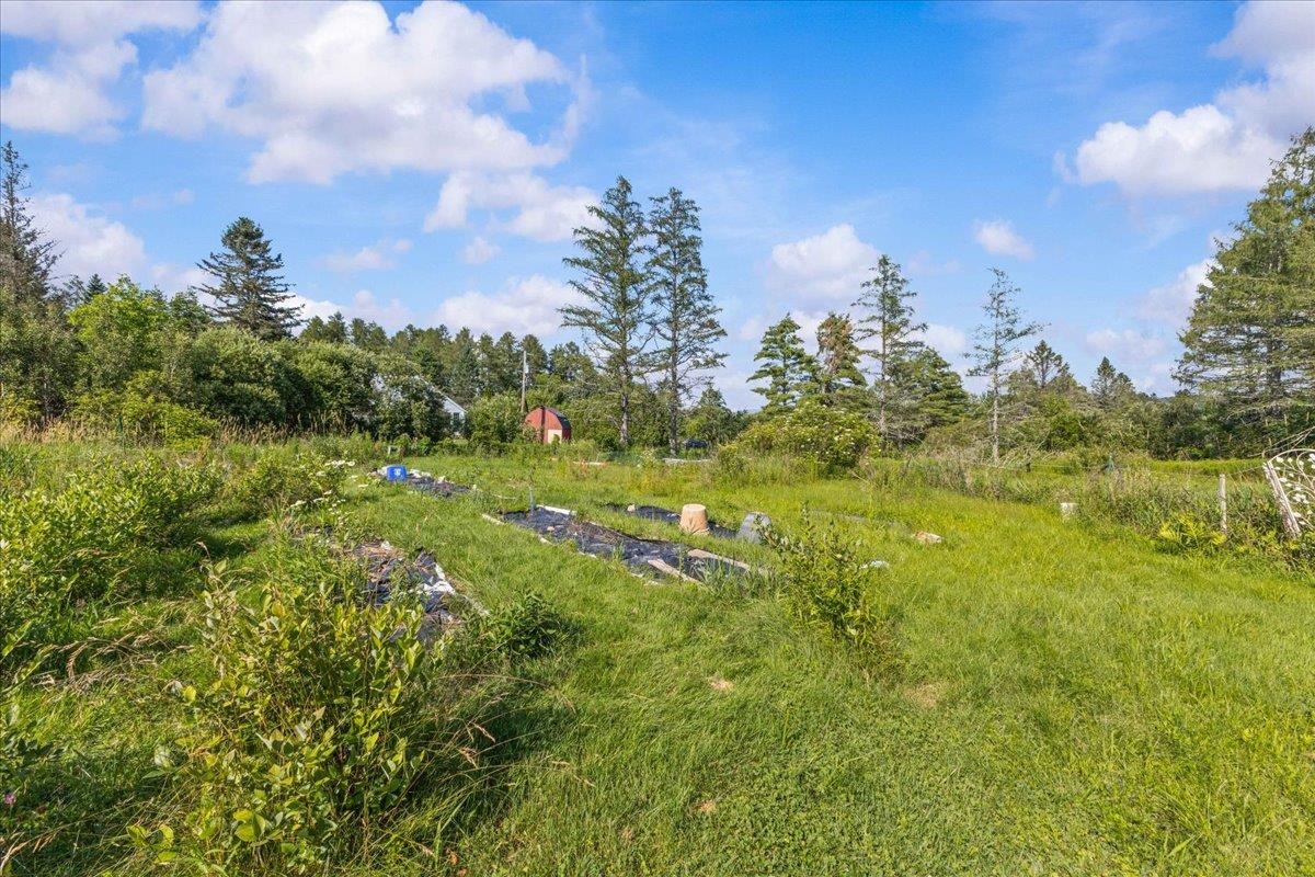 214 Old Stage Road Property Photo 15