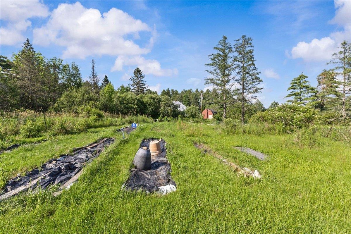 214 Old Stage Road Property Photo 16