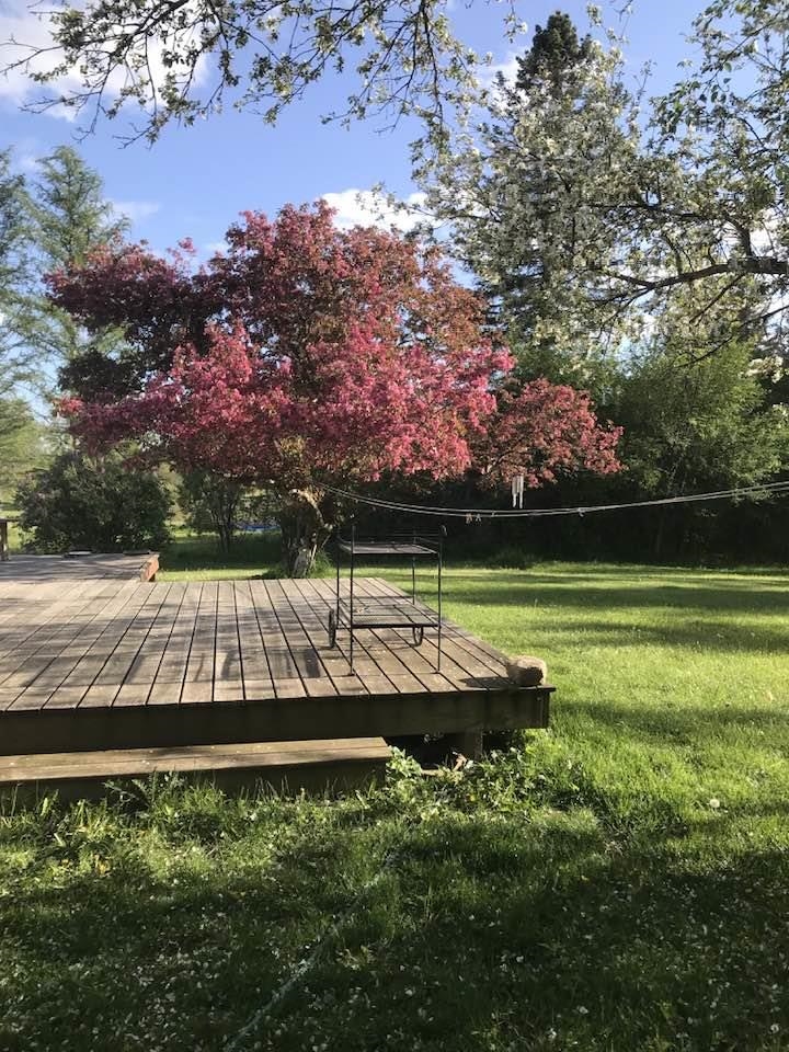 214 Old Stage Road Property Photo 18
