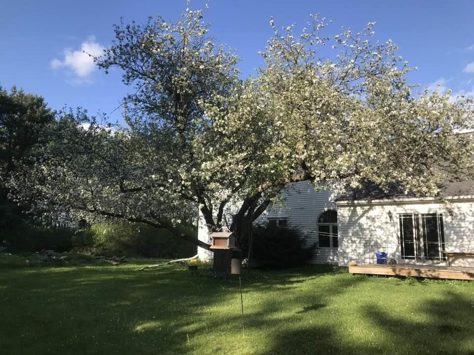 214 Old Stage Road Property Photo 19