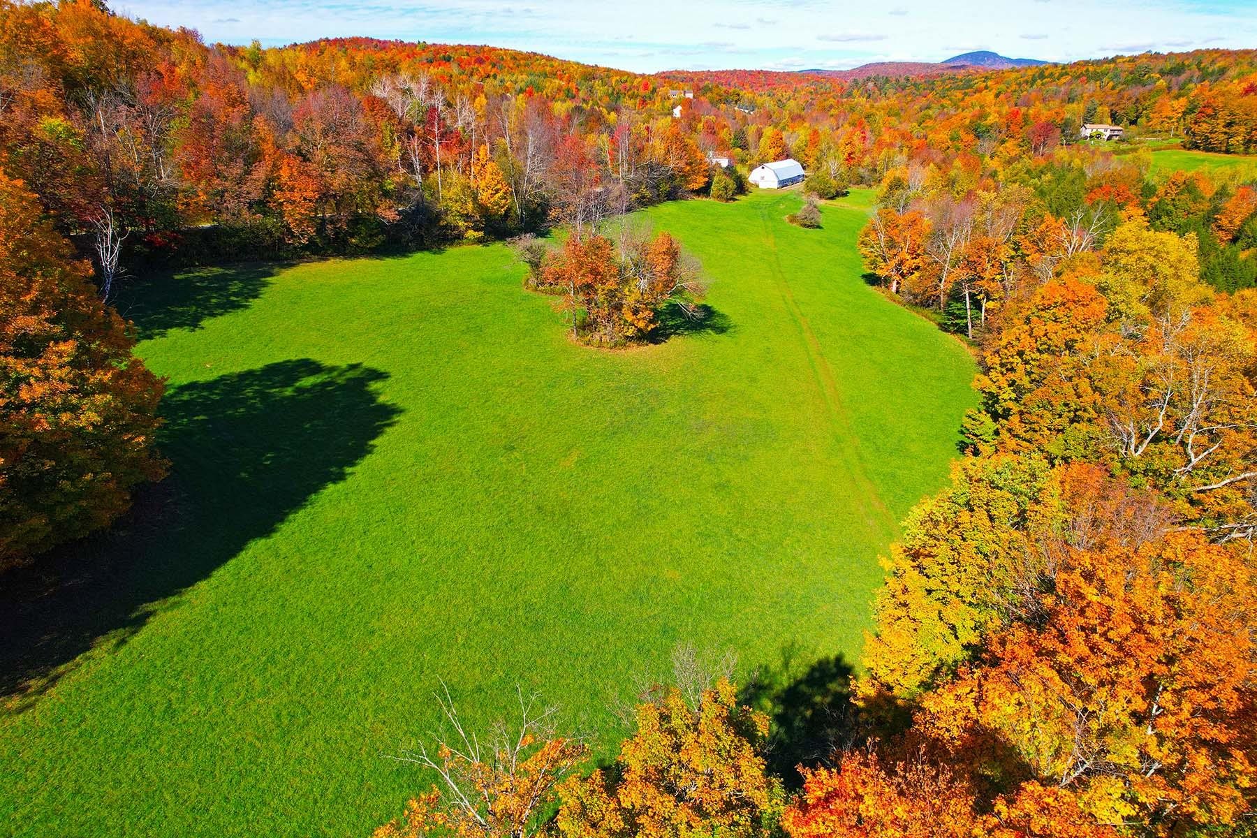 503 Golf Course Road Property Photo 5