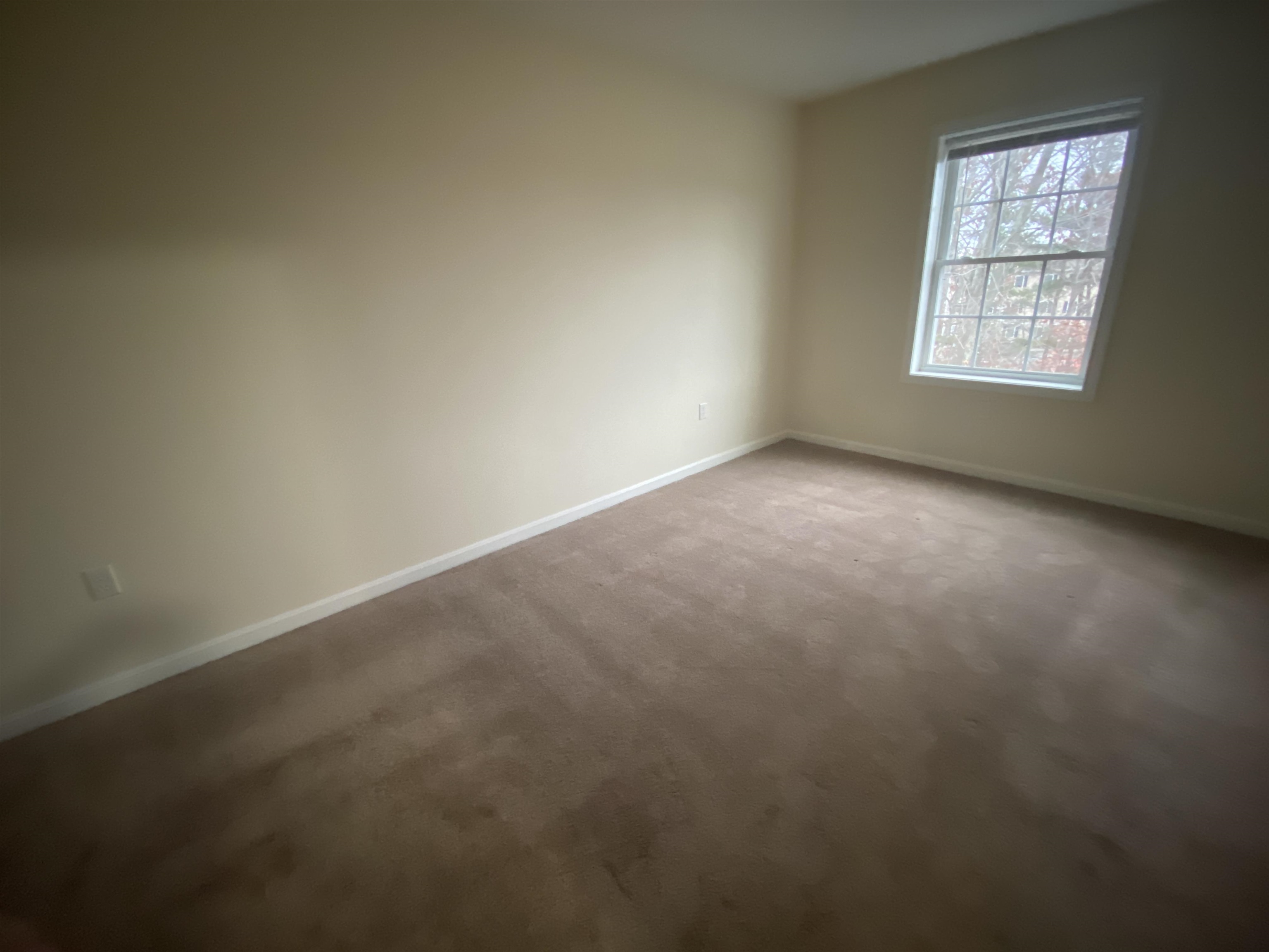 80 Sentinel Court Property Photo 21