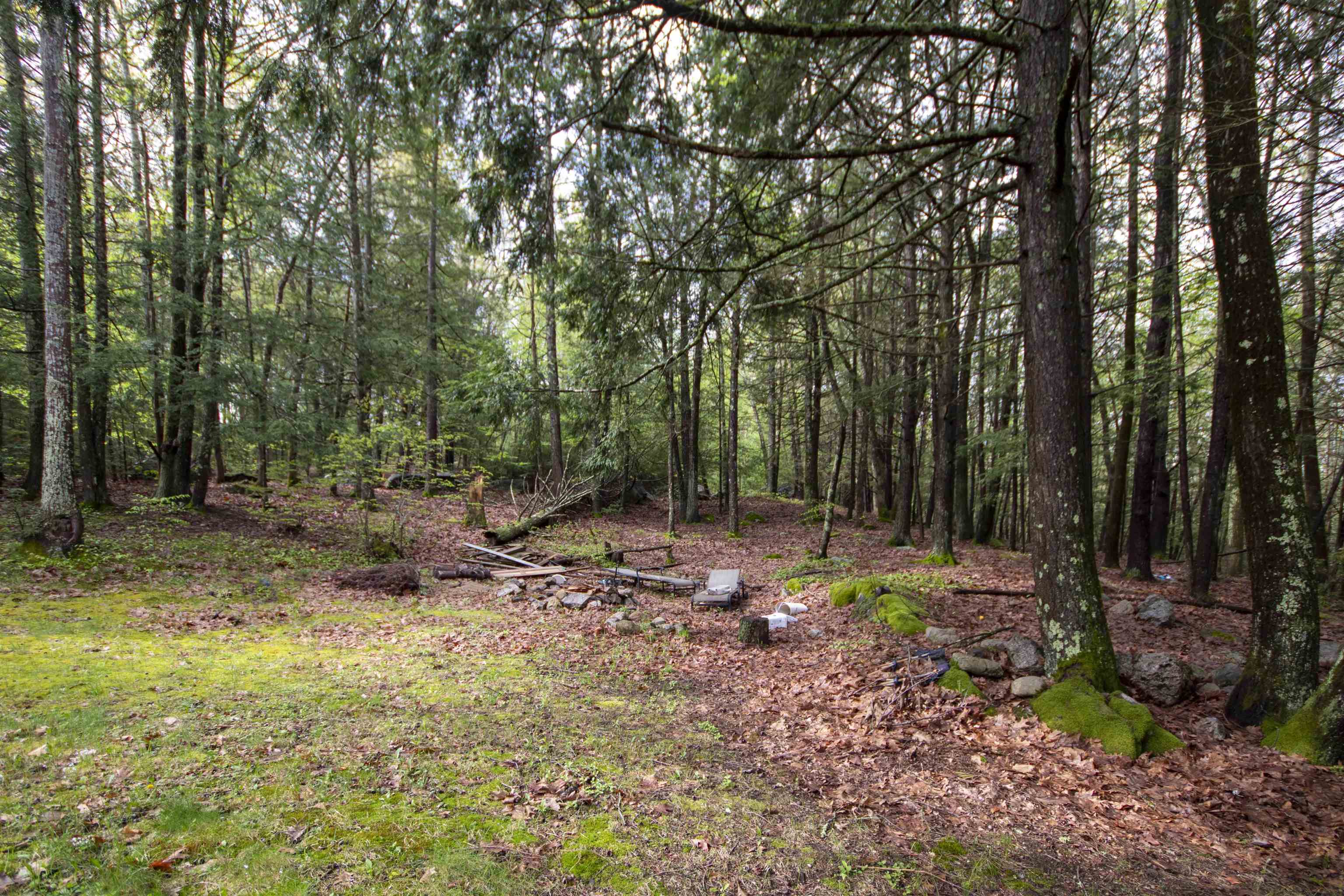 160a North Shore Road Property Photo 33