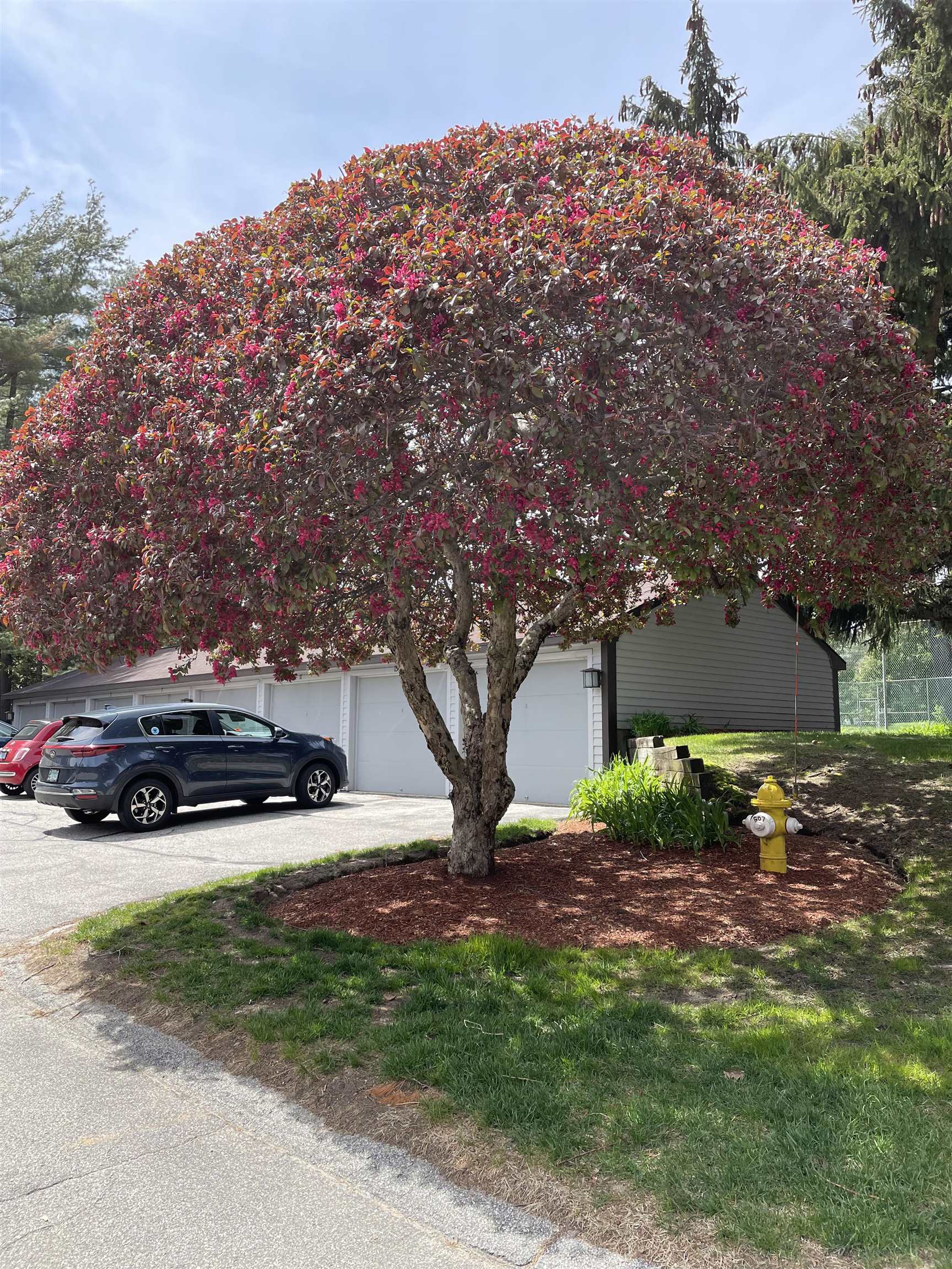 9 Pondview Drive Property Photo 56