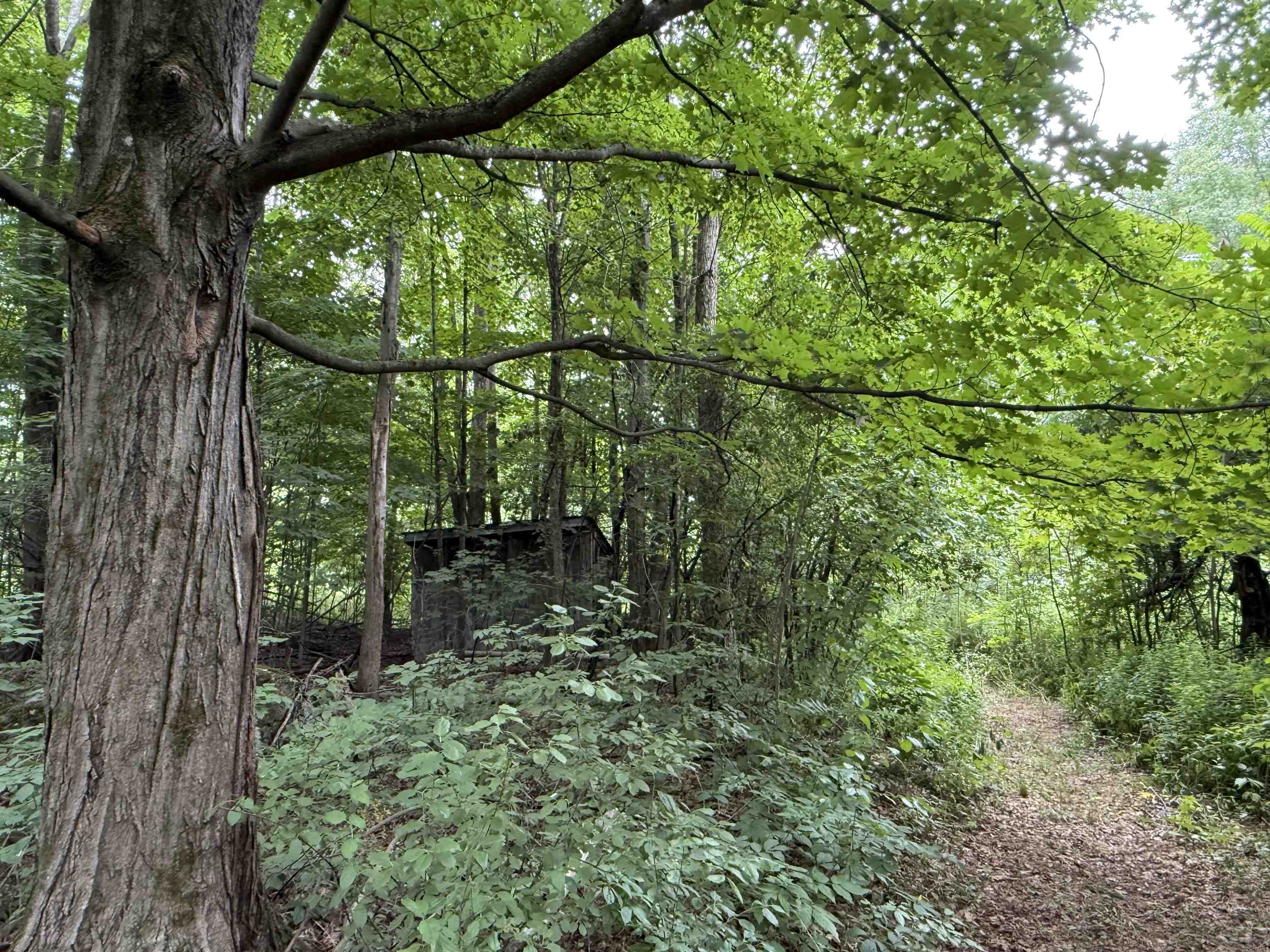 136 Westford Road Property Photo 7