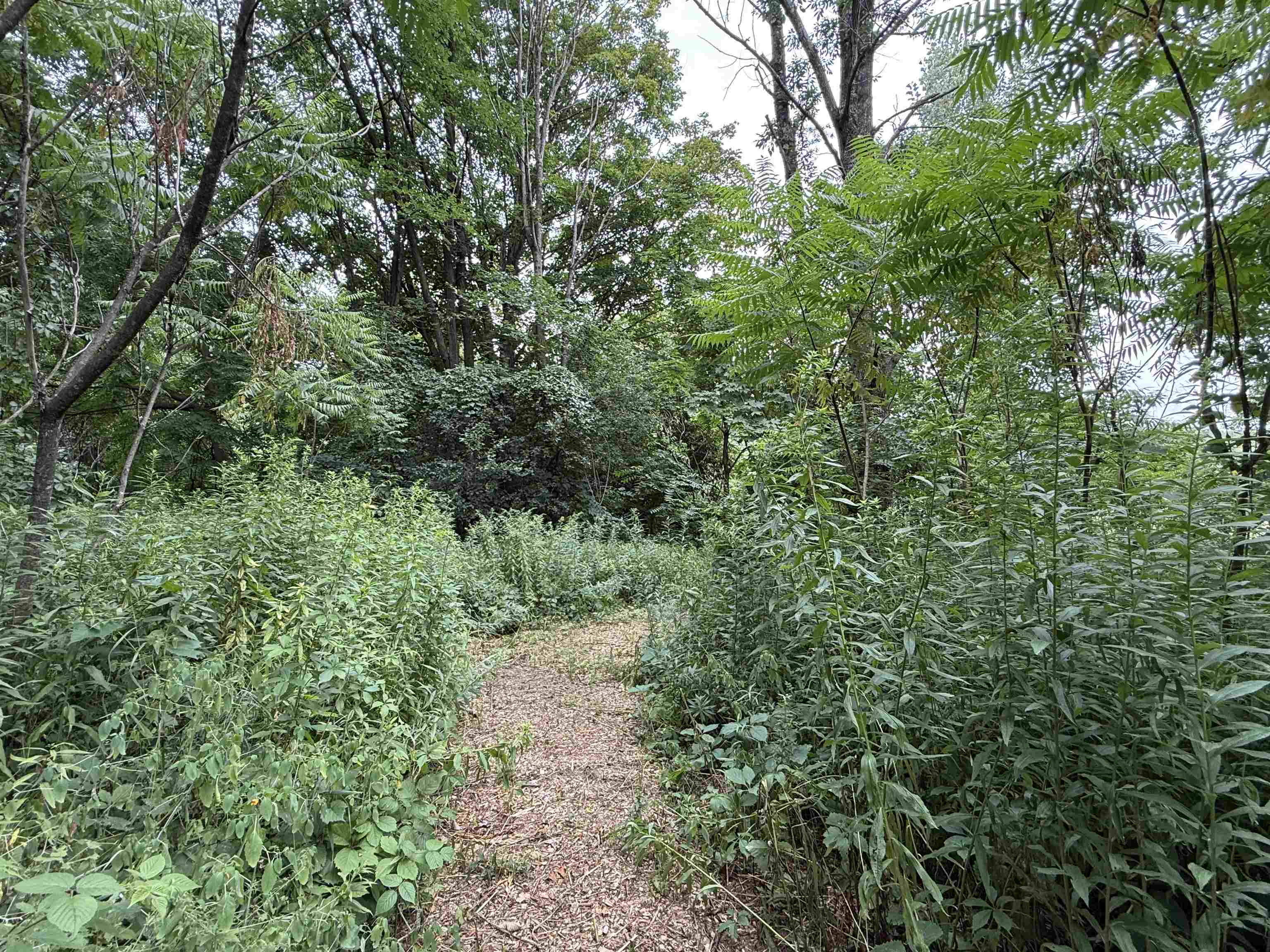 136 Westford Road Property Photo 32