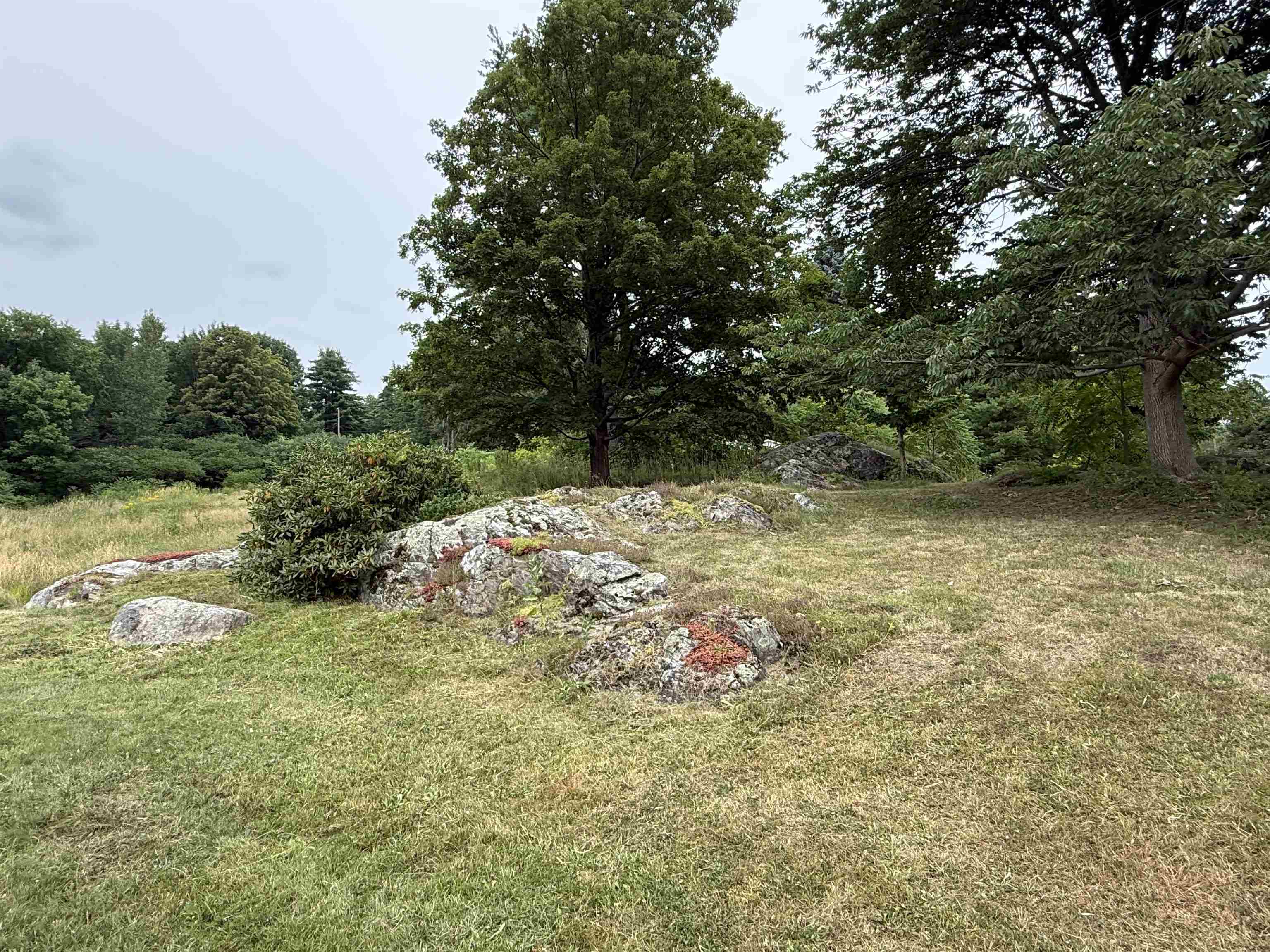 136 Westford Road Property Photo 33