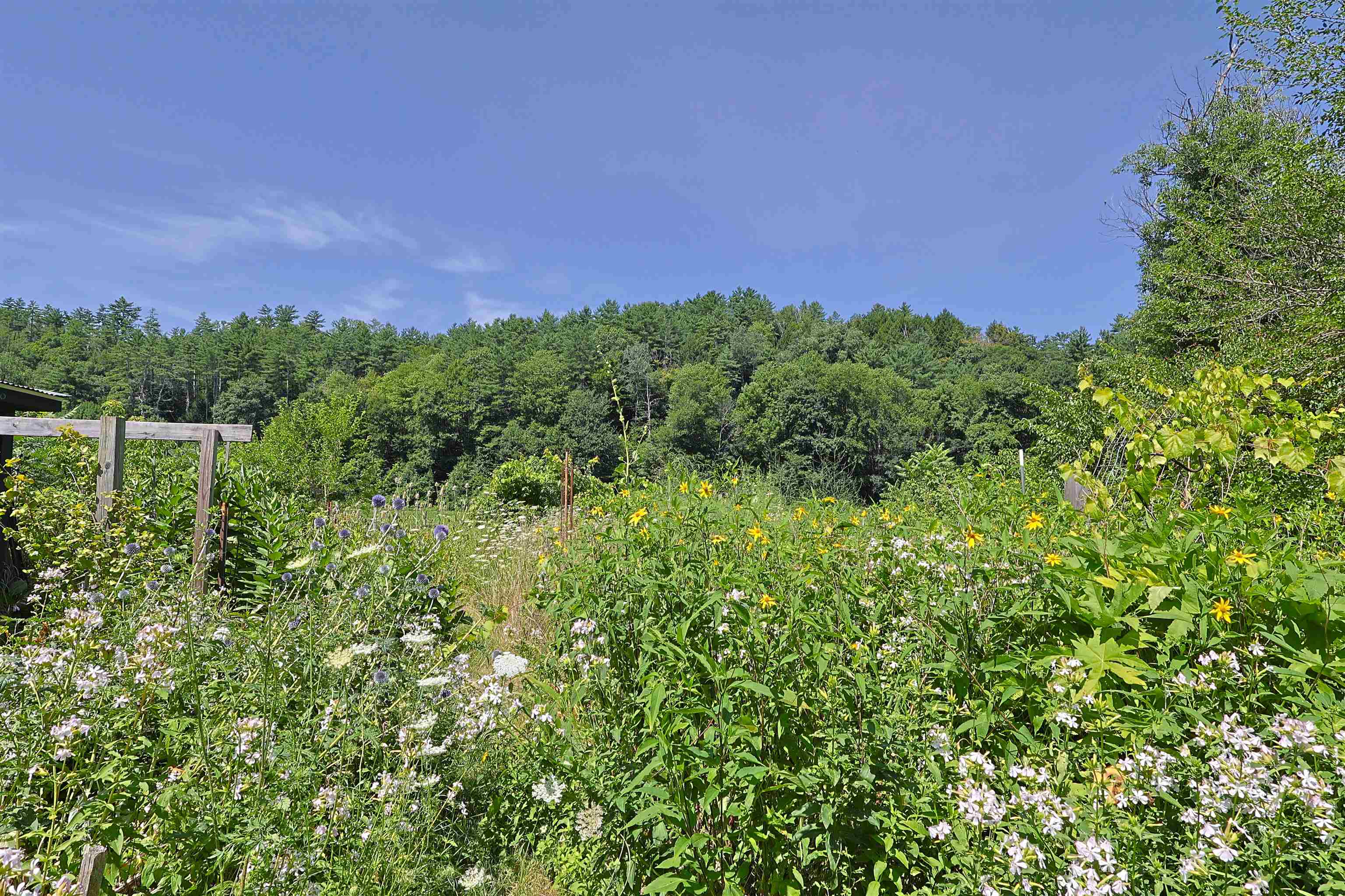 669 Us Route 5 Property Photo 11