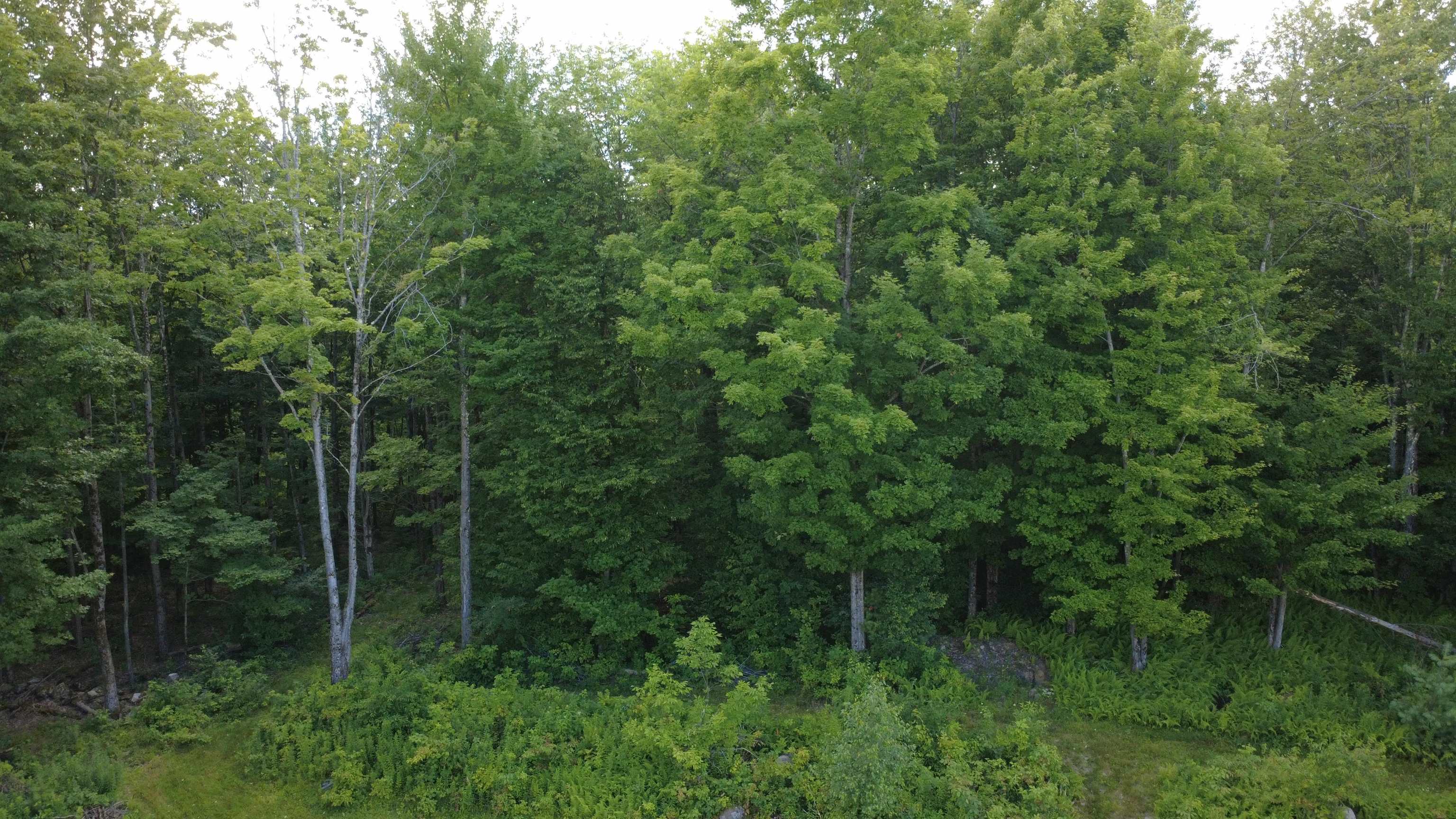 244 Sam Webb Road Property Photo 10