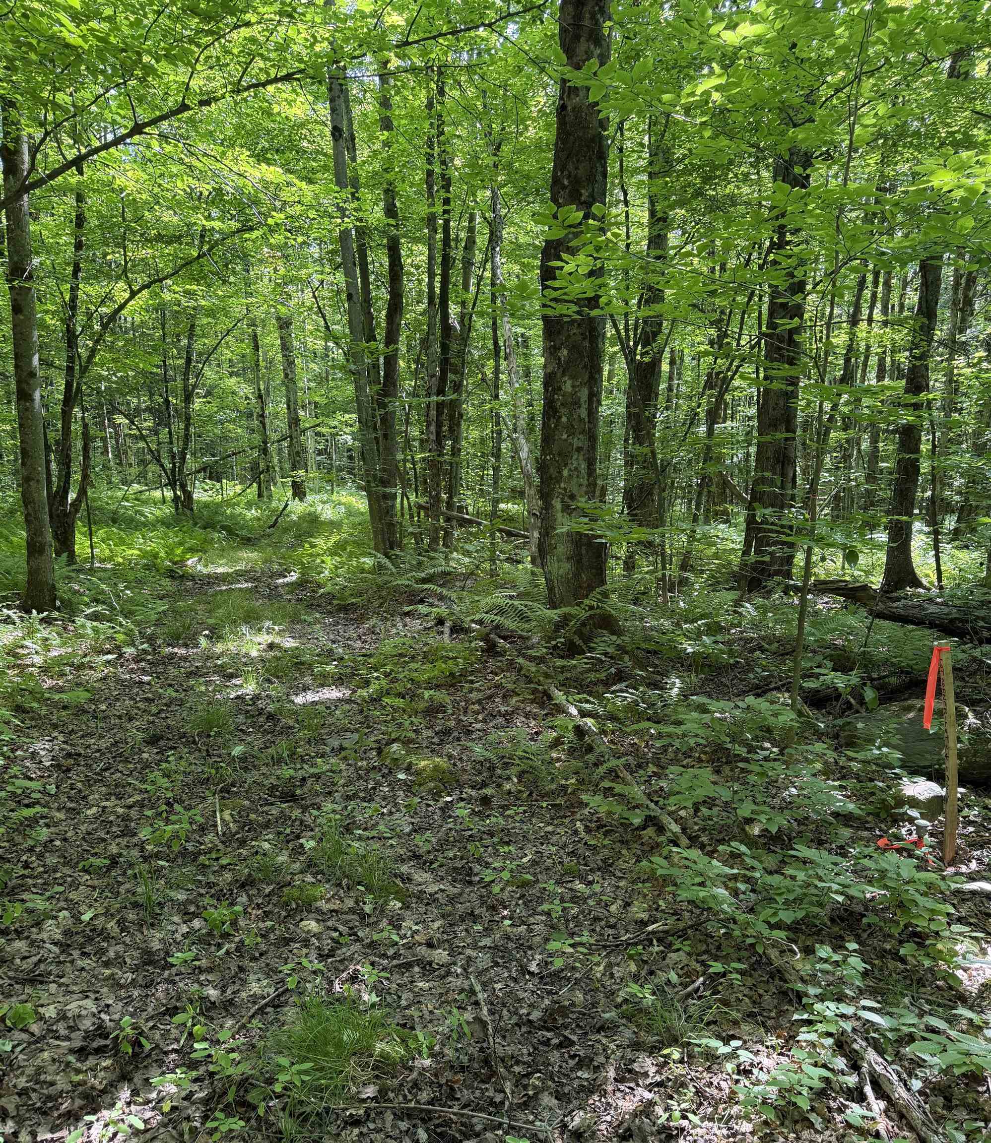 244 Sam Webb Road Property Photo 11