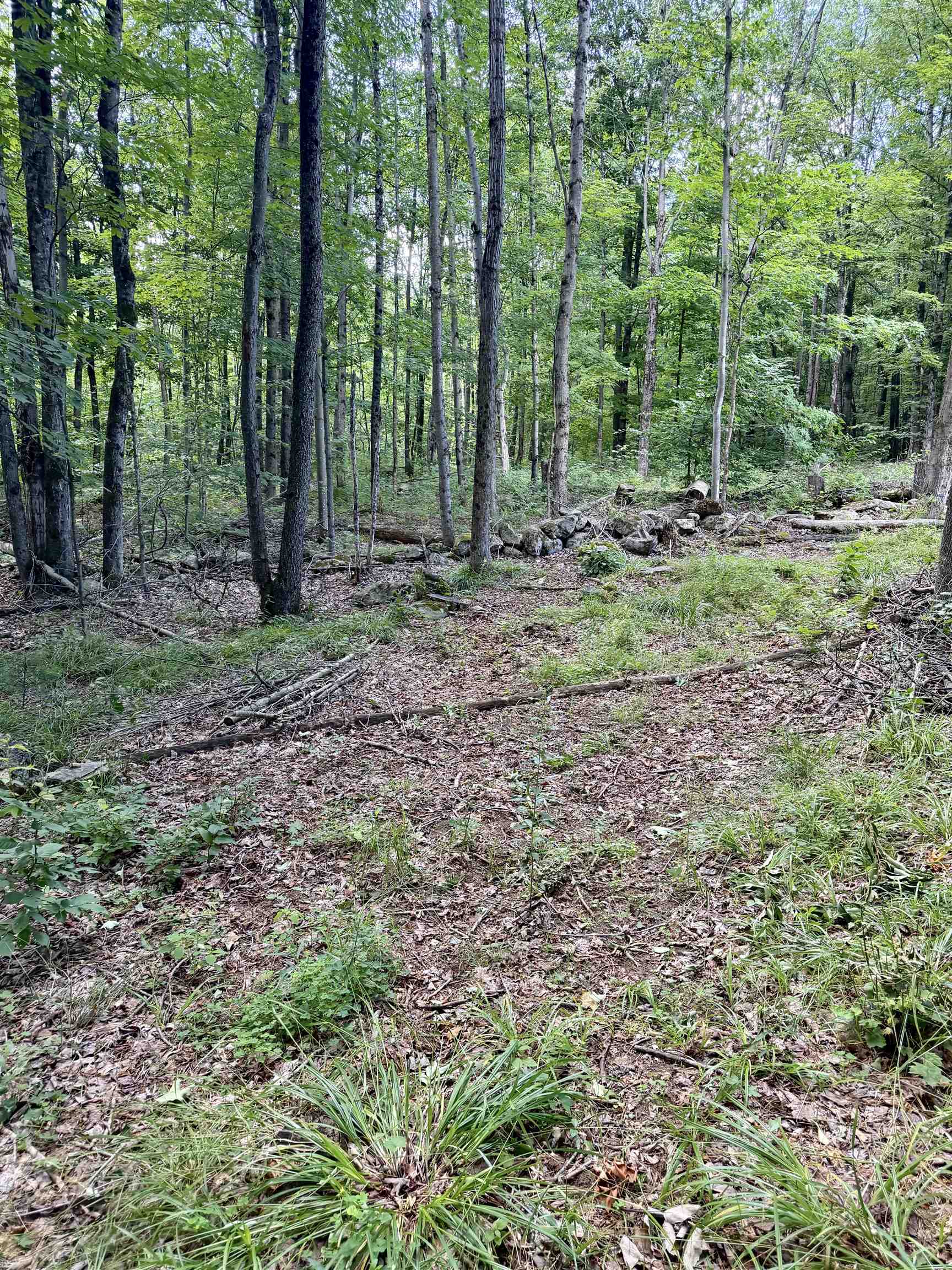 244 Sam Webb Road Property Photo 13