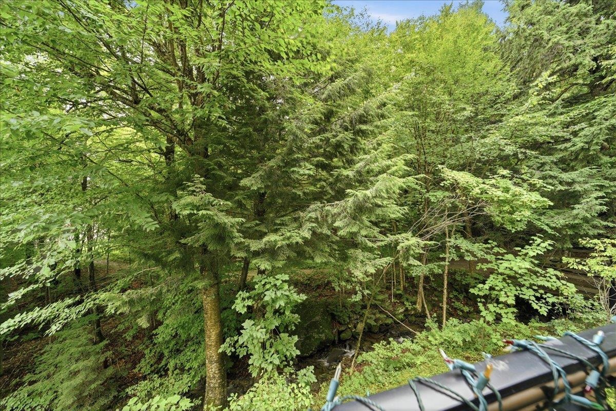 251 Mountainside Drive Property Photo 25
