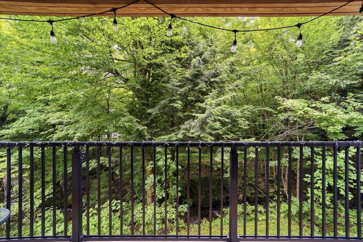 251 Mountainside Drive Property Photo 27