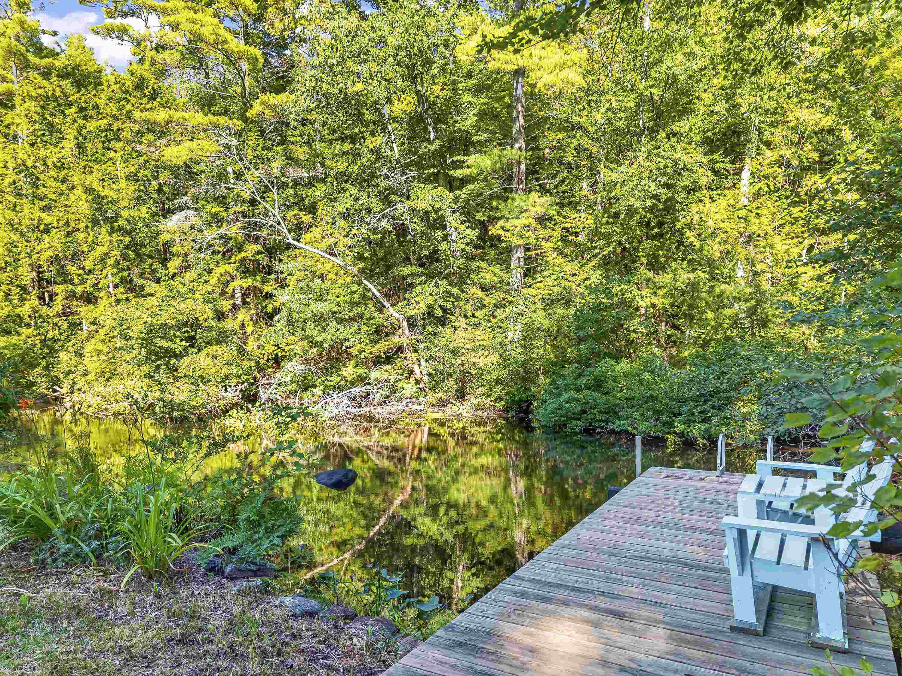217 Heath Road Property Photo 55