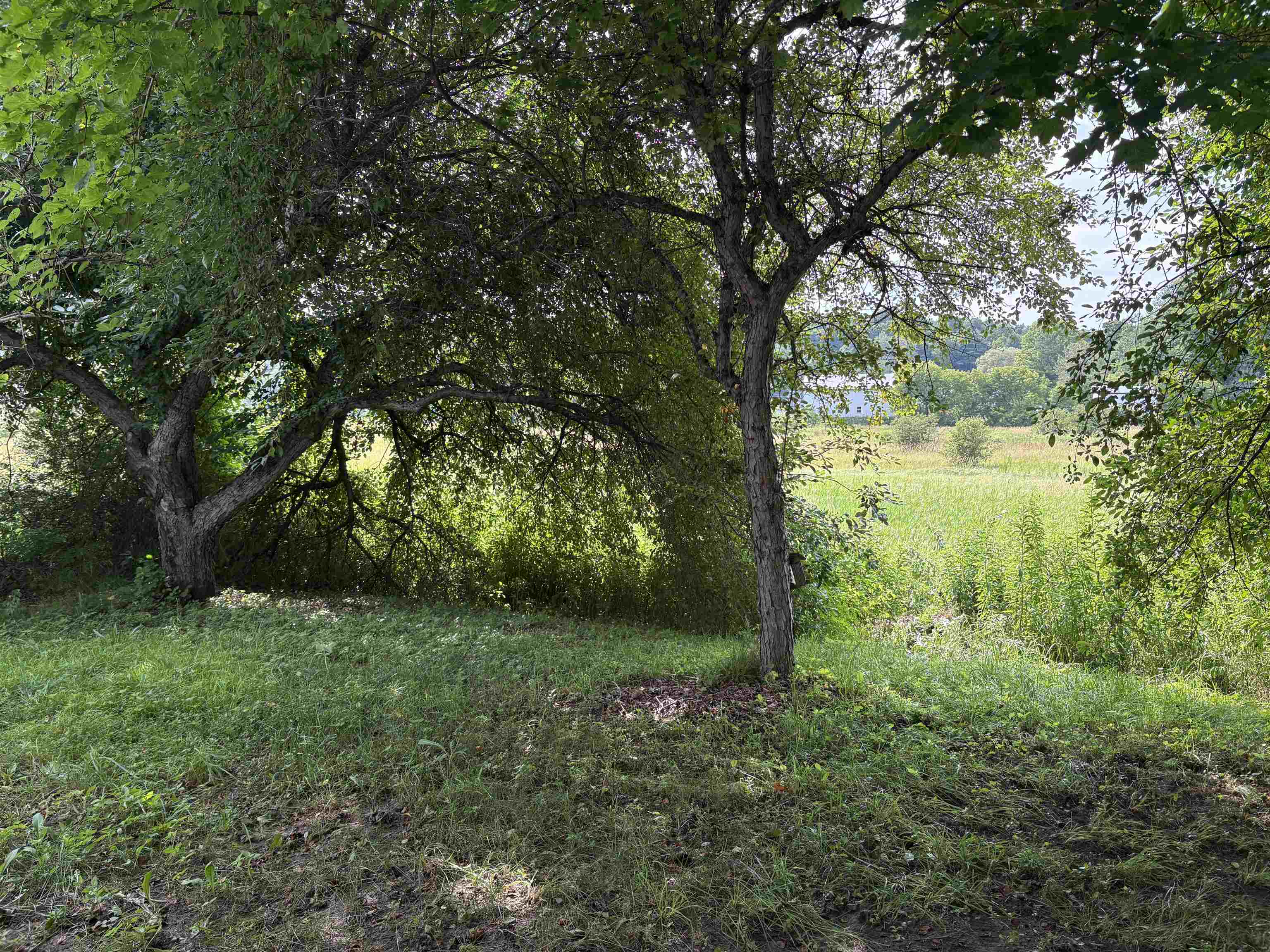 241 Business Center Road Property Photo 16
