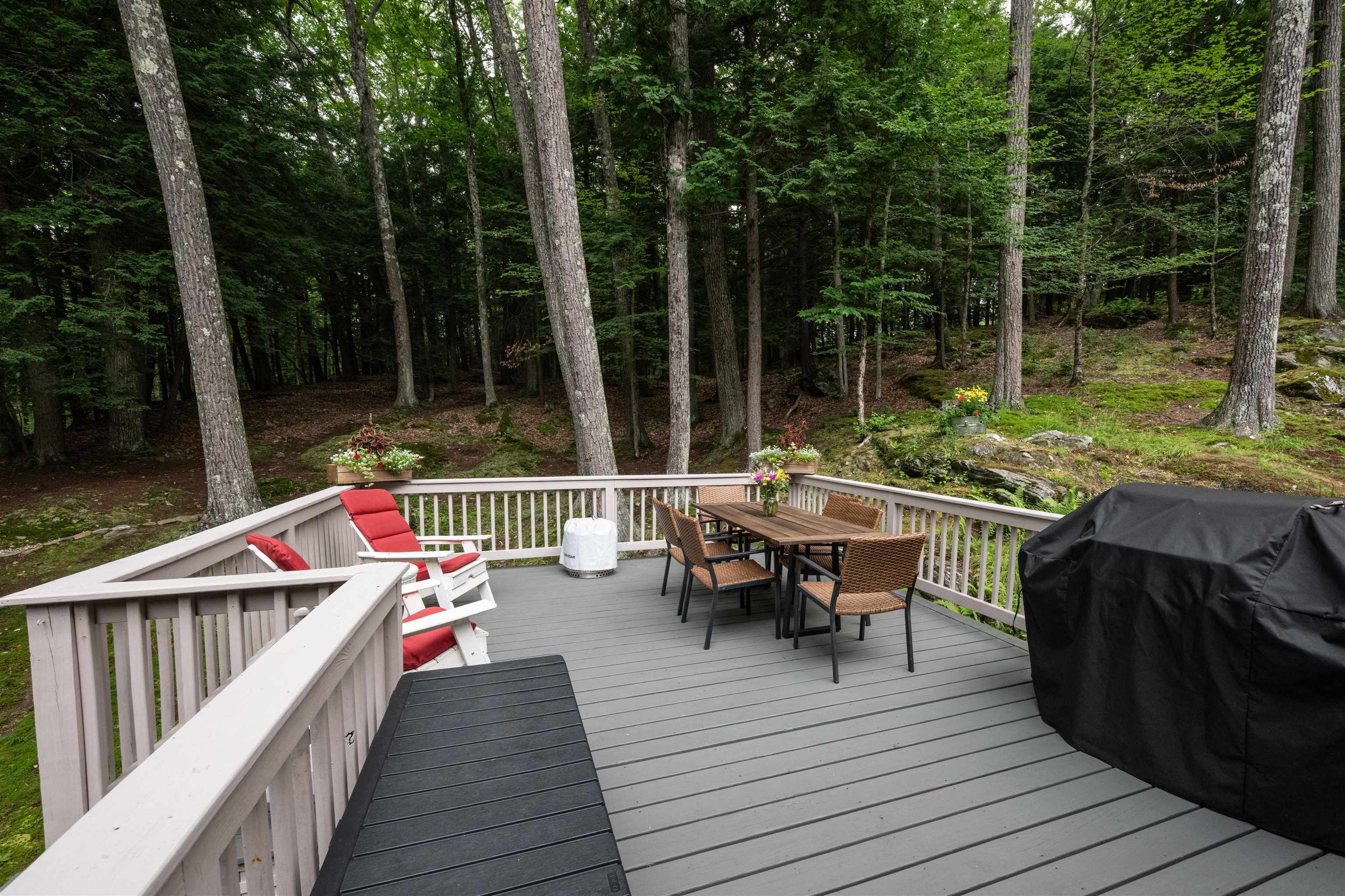 1517 Willard Road Property Photo 15