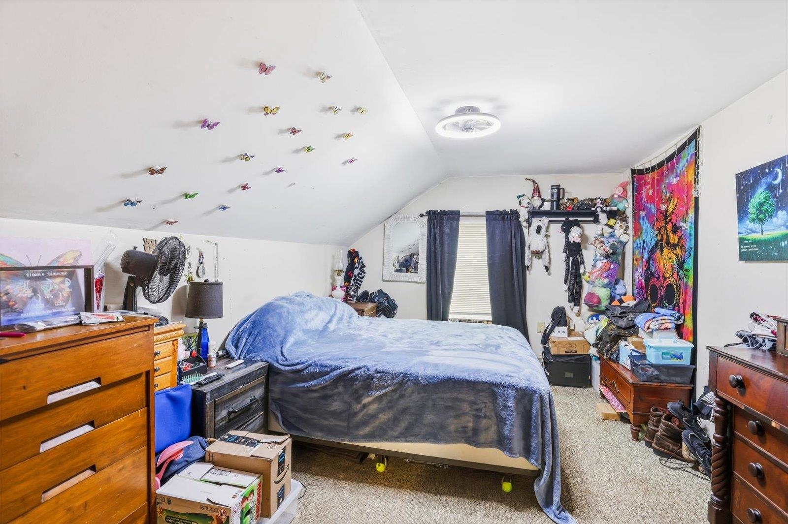 40 Myrtle Street Property Photo 24